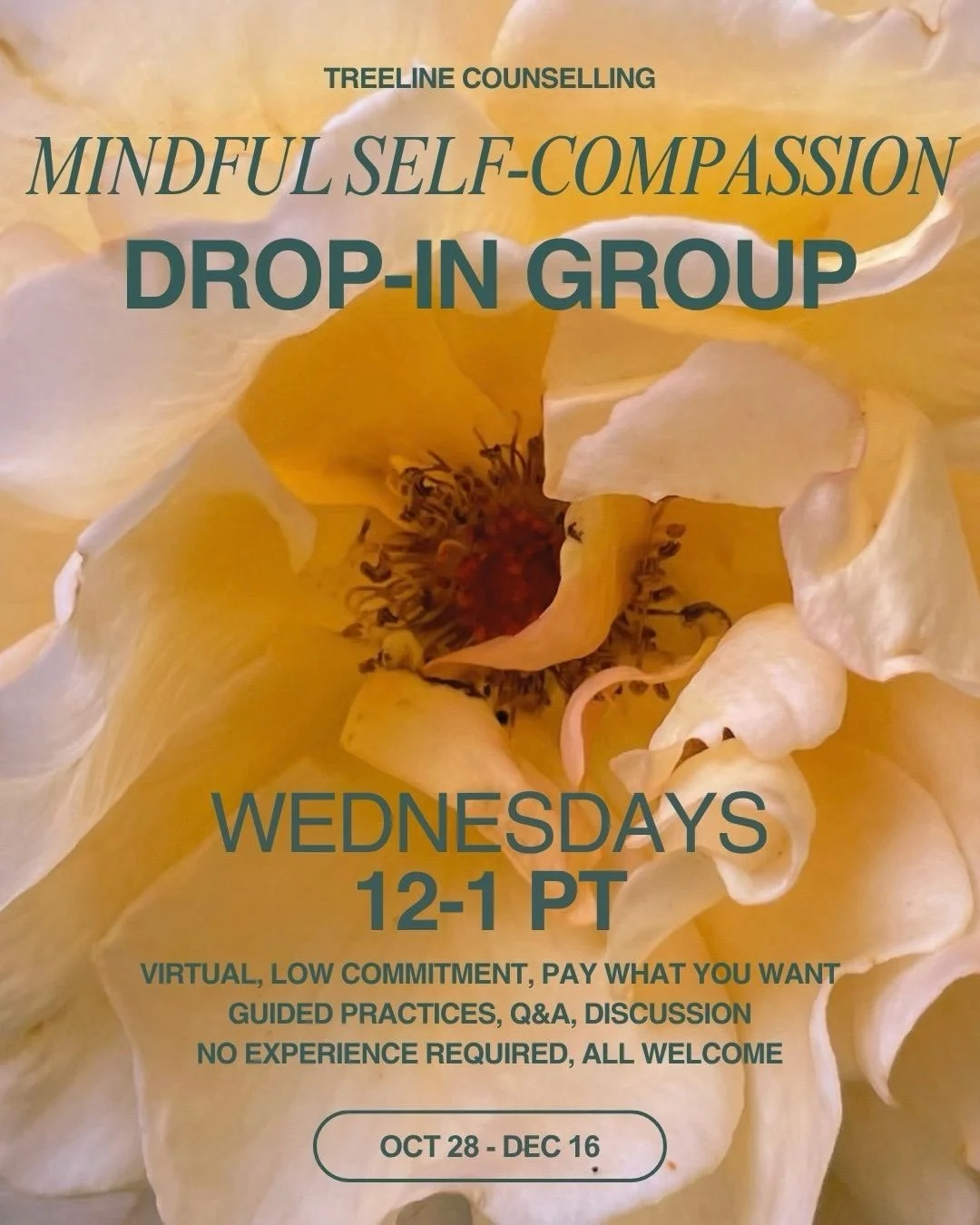 Register here for drop-in: https://treelinecounselling.janeapp.com/#/staff_member/1/treatment/28

Or here to do an intake for the full MSC group: https://treelinecounselling.janeapp.com/#/staff_member/1/treatment/24

I created this 1-hour Mindful Sel