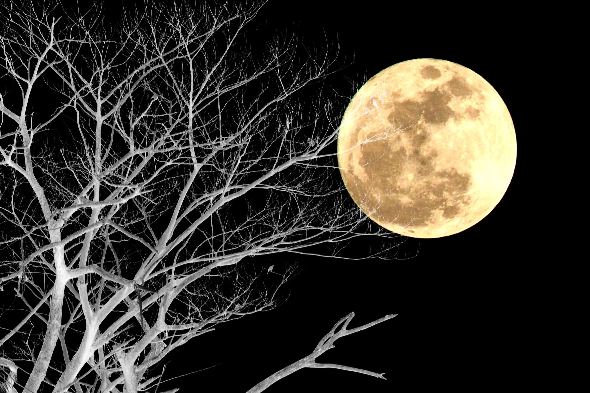 SuperMoon in Virgo Reiki Meditation