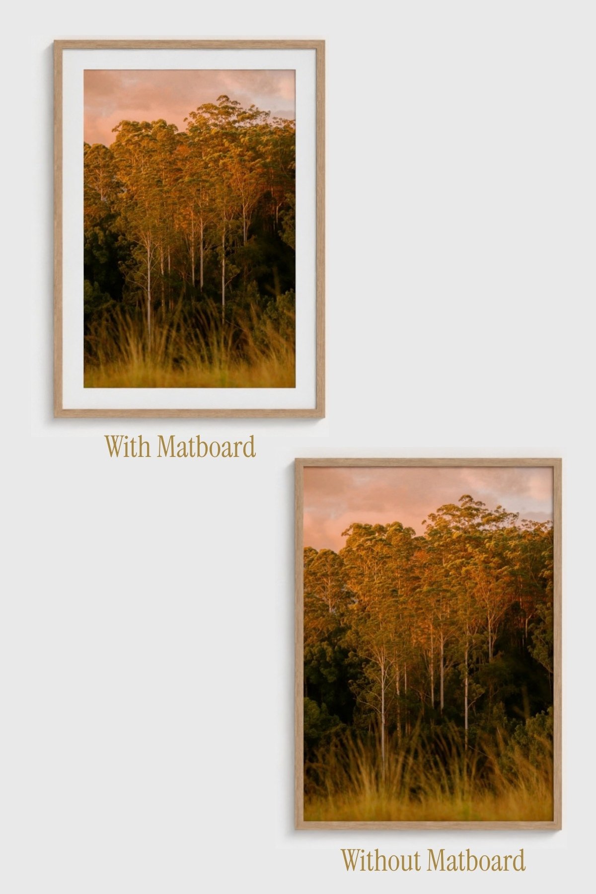Golden-Hour-Angela-Ferro-Studio-Fine-Art-Nature-Photography-Prints-Wild-Sanctuary-Australian-bush-mockup-7.jpg