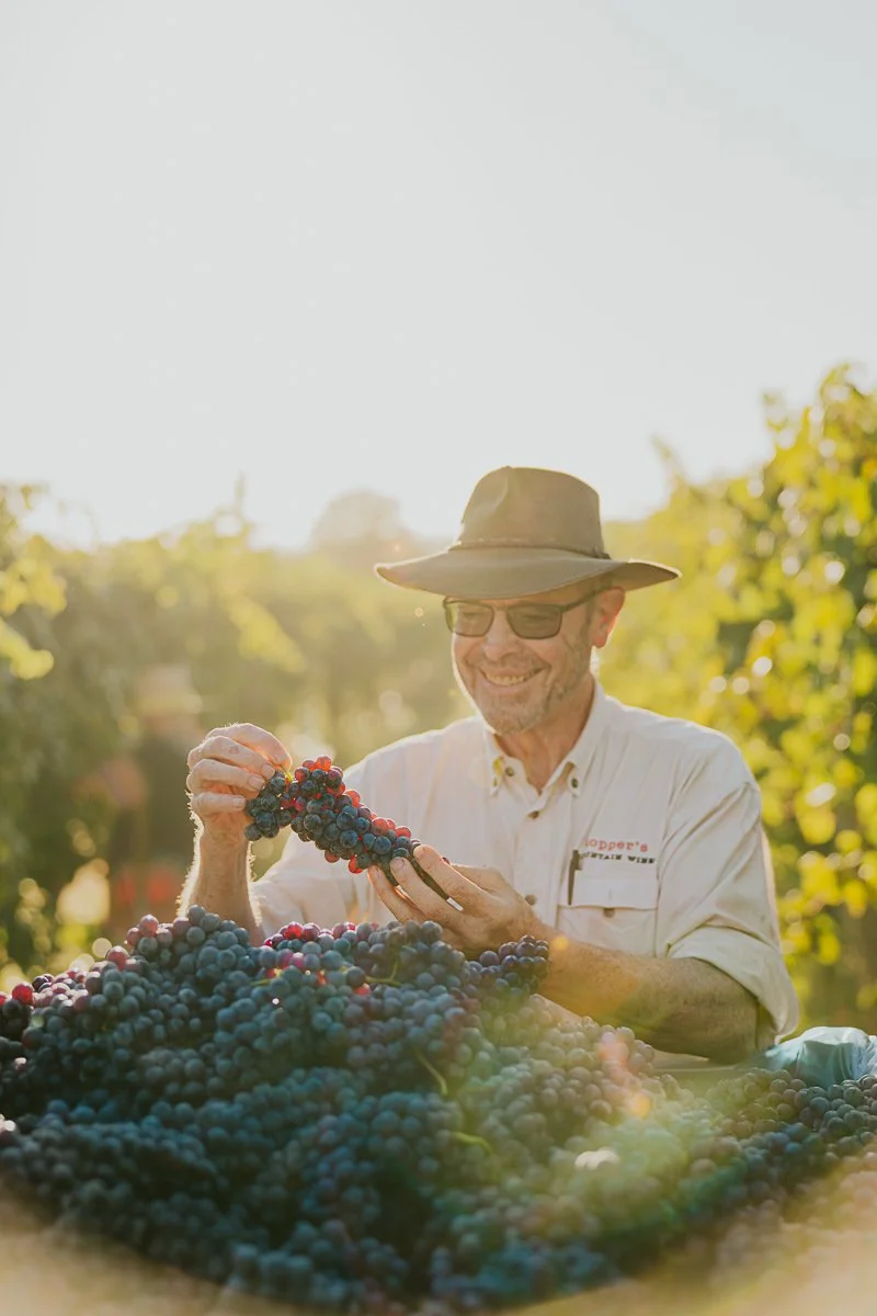 Ferro-Studio-Toppers-Grape-Harvest-12.jpg