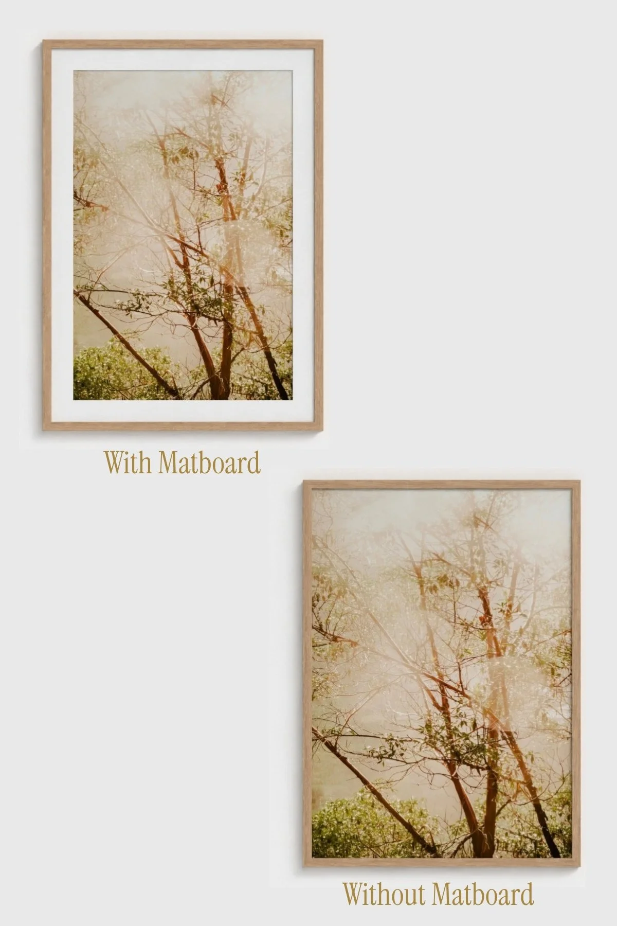 Petrichor-Angela-Ferro-Studio-Fine-Art-Nature-Photography-Prints-Wild-Sanctuary-Australian-bush-mockup-7.jpg