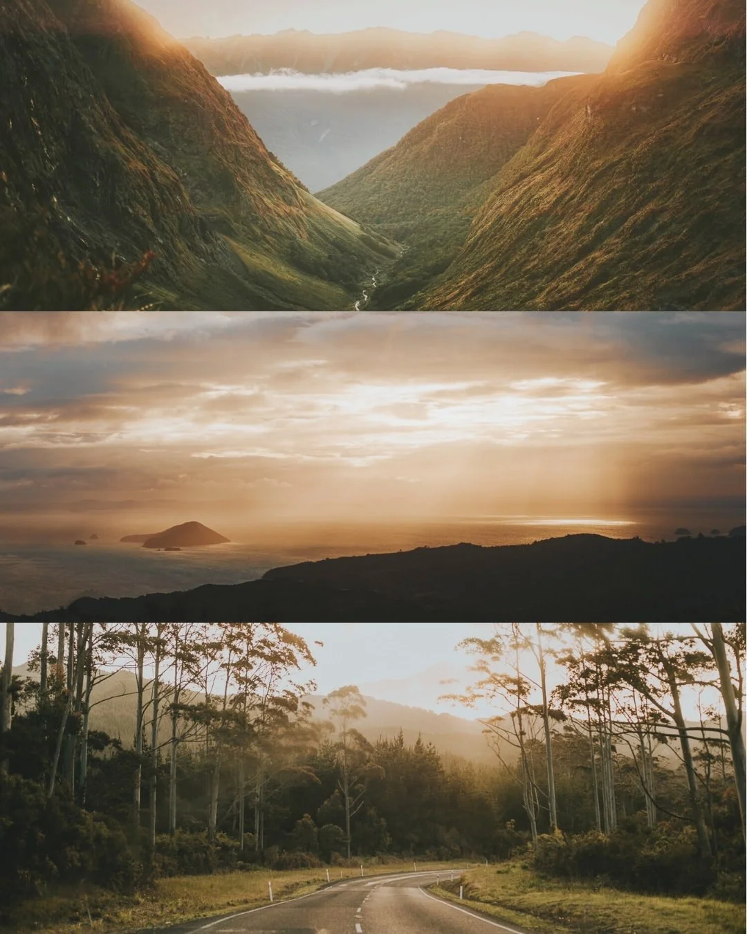 New Zealand from the archive, part 2 ~