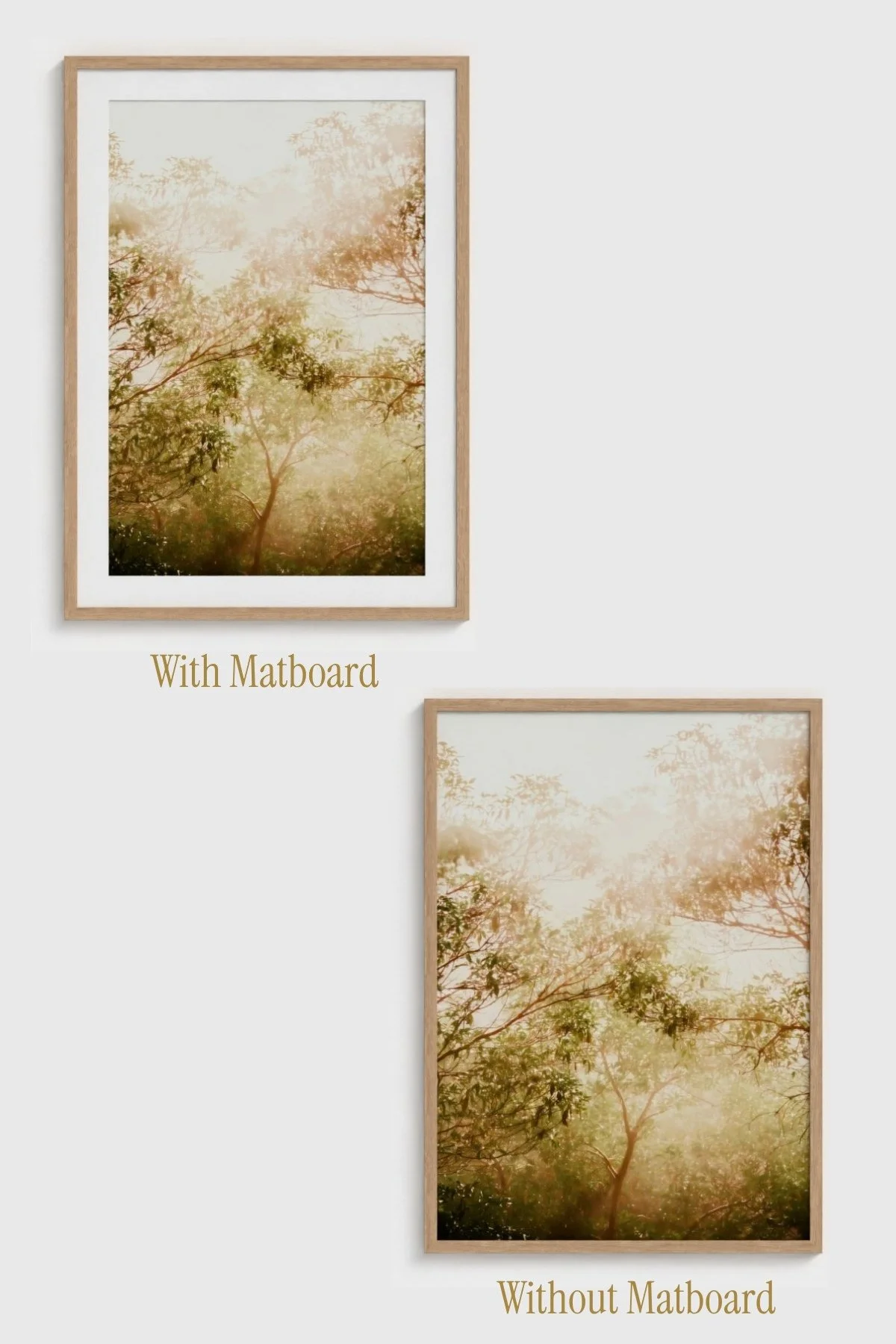 Sun-Shower-Angela-Ferro-Studio-Fine-Art-Nature-Photography-Prints-Wild-Sanctuary-Australian-bush-mockup-7.jpg