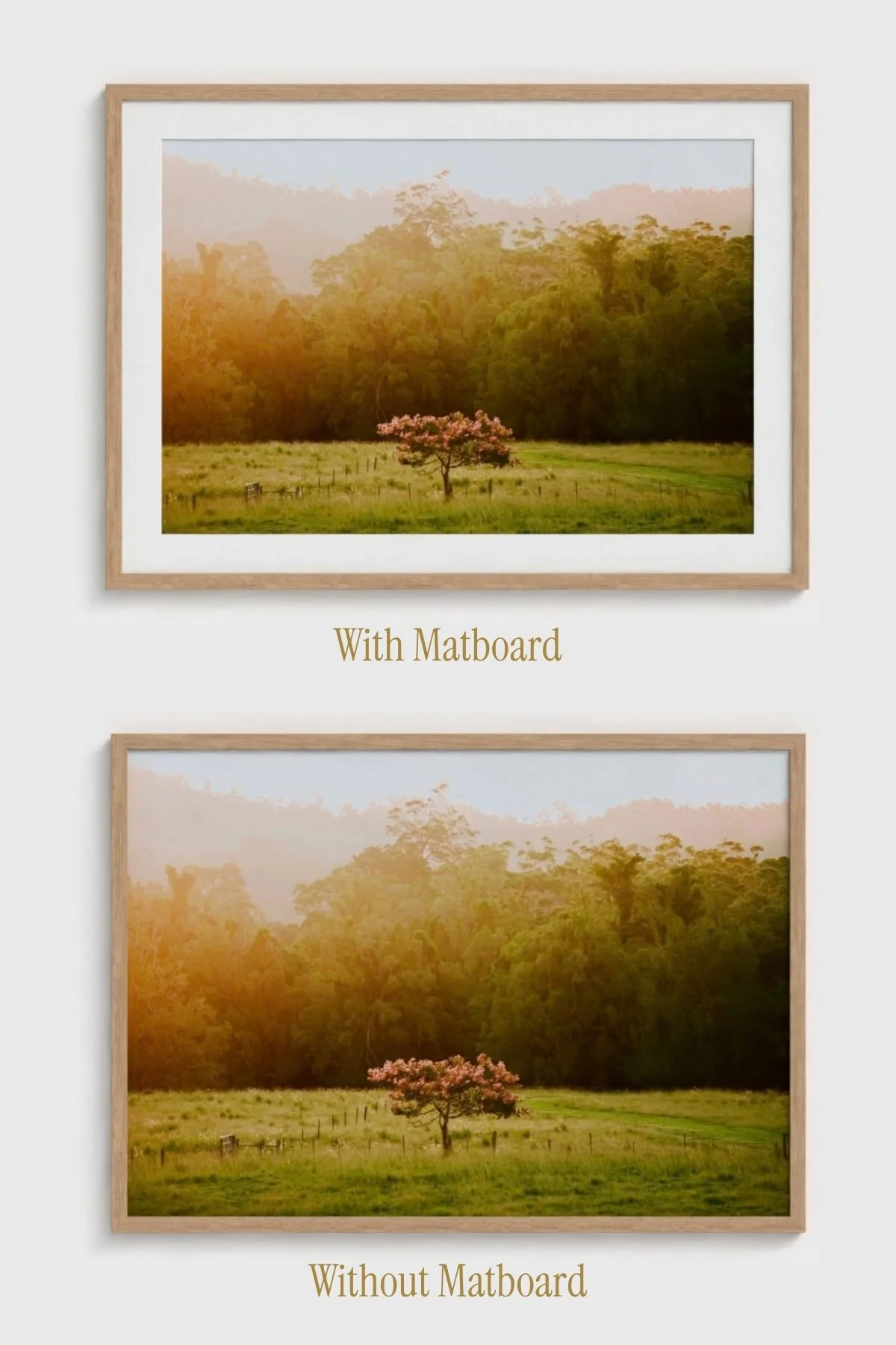 Crepe-Myrtle-Ferro-Studio-Fine-Art-Nature-Photography-Prints-Wild-Sanctuary-Australian-bush-mockup-7.jpg