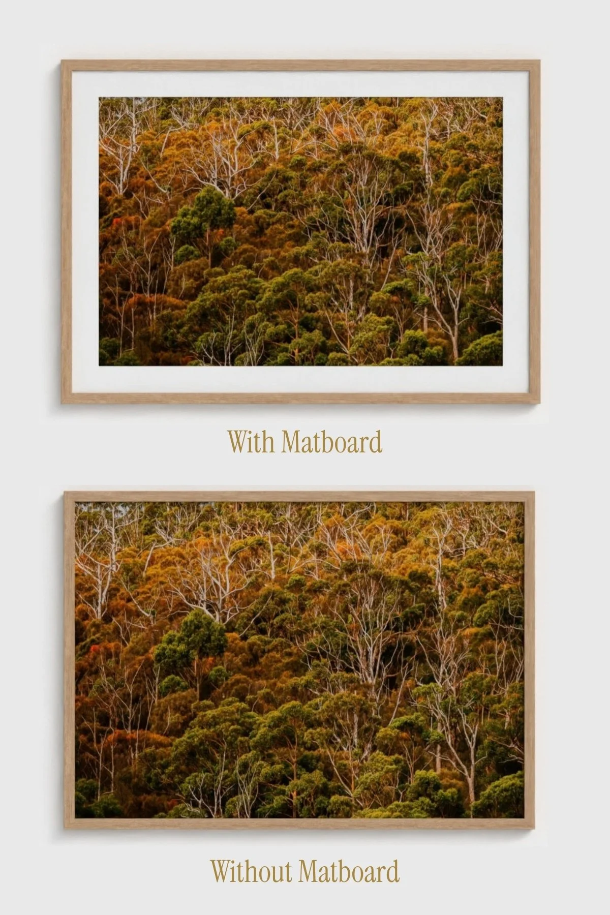 Bruny-Angela-Ferro-Studio-Fine-Art-Nature-Photography-Prints-Wild-Sanctuary-Australian-bush-mockup-7.jpg