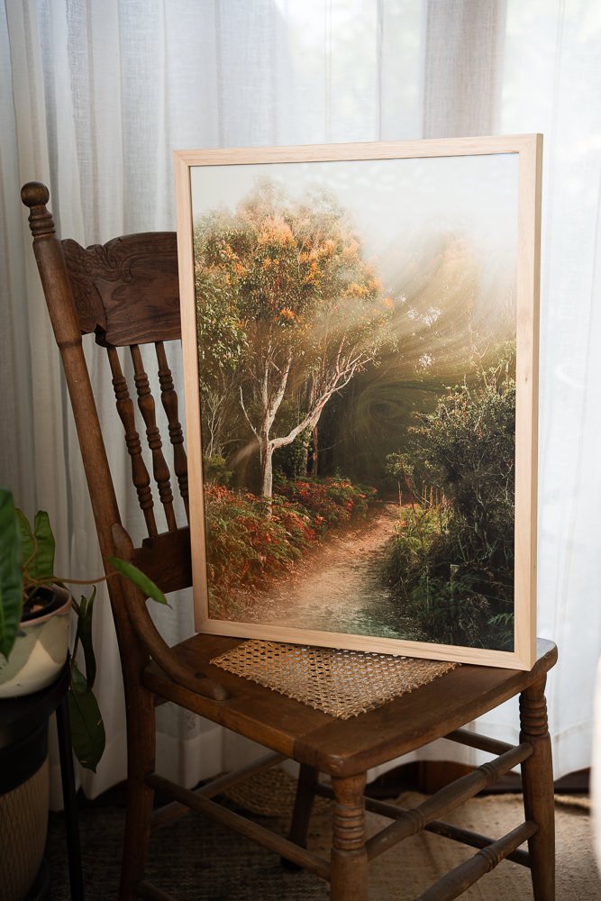 Ferro-Studio-The-Quiet-Path-In-Situ-Wild-Sanctuary-FIne-Art-Nature-Photography-Prints-Australia-Tasmania.jpg