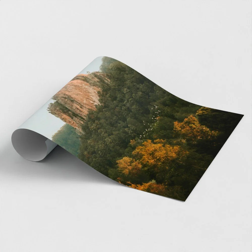 Drifting-Ferro-Studio-Fine-Art-Nature-Photography-Prints-Wild-Sanctuary-Australian-bush-mockup-2.jpg
