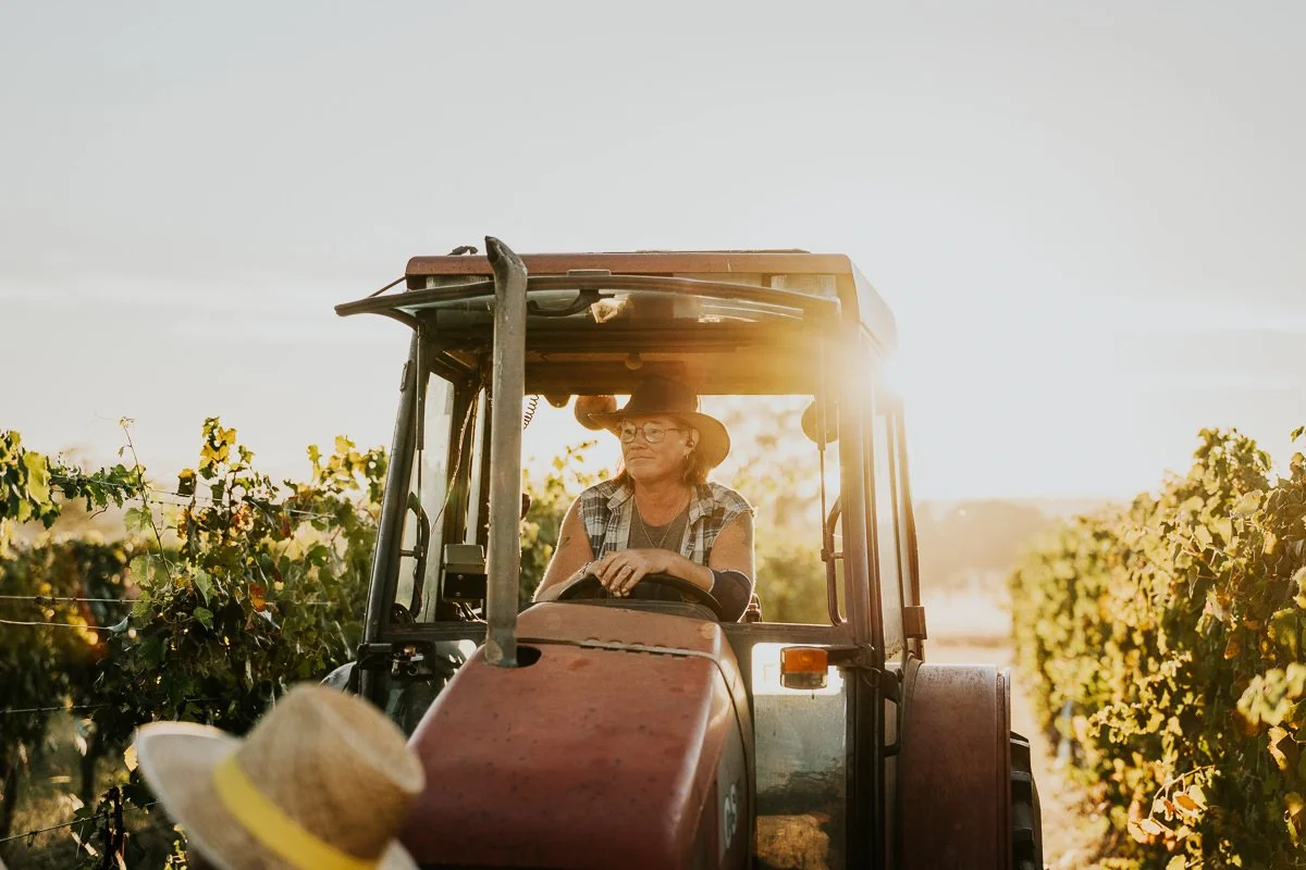 Ferro-Studio-Toppers-Grape-Harvest-21.jpg