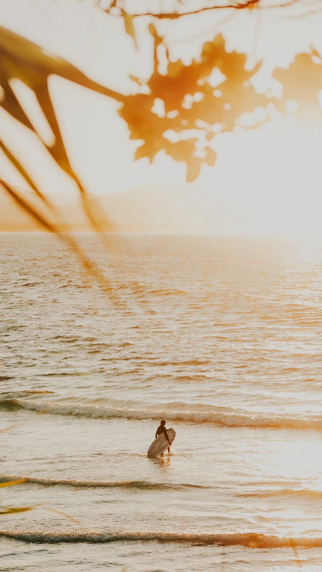 Sunset Swim I - Mobile Wallpaper