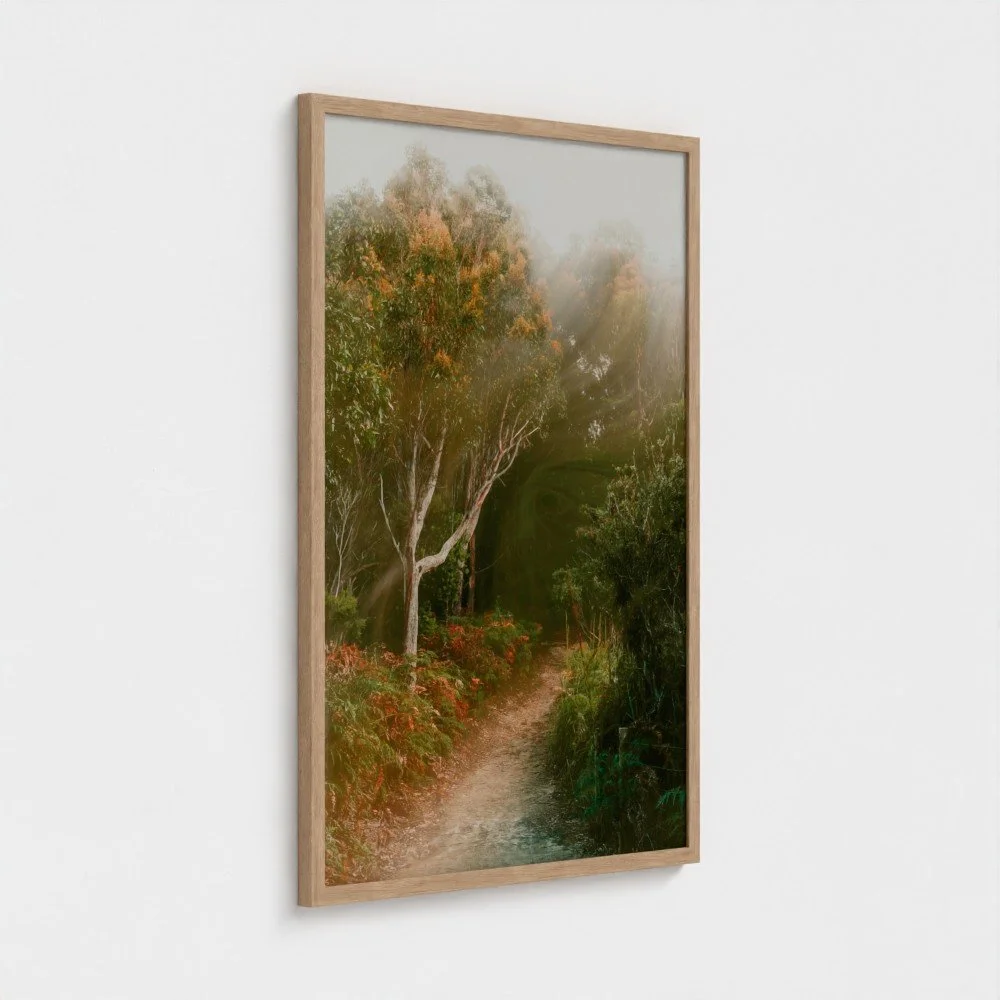 Quiet-Path-Ferro-Studio-Fine-Art-Nature-Photography-Prints-Wild-Sanctuary-Australian-bush-mockup-1.jpg