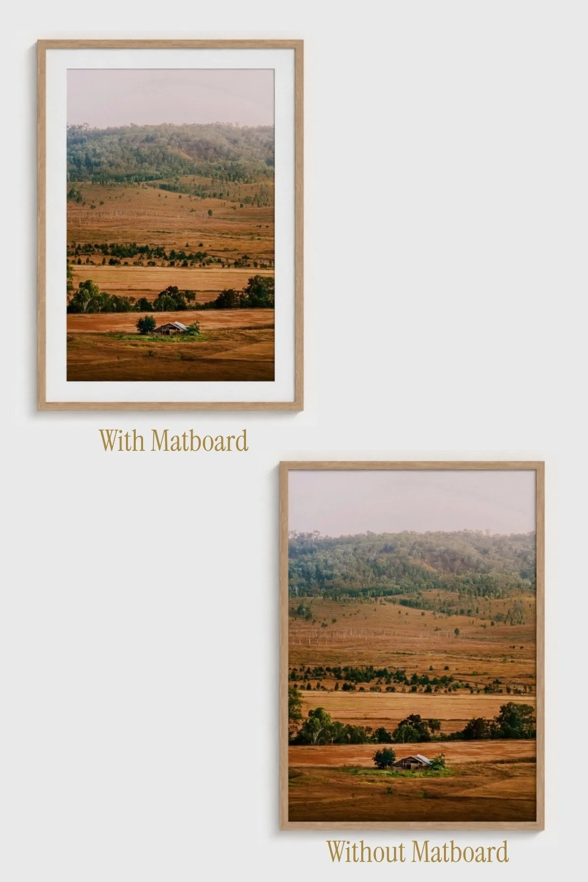 Relic-Angela-Ferro-Studio-Fine-Art-Nature-Photography-Prints-Wild-Sanctuary-Australian-bush-mockup-7.jpg