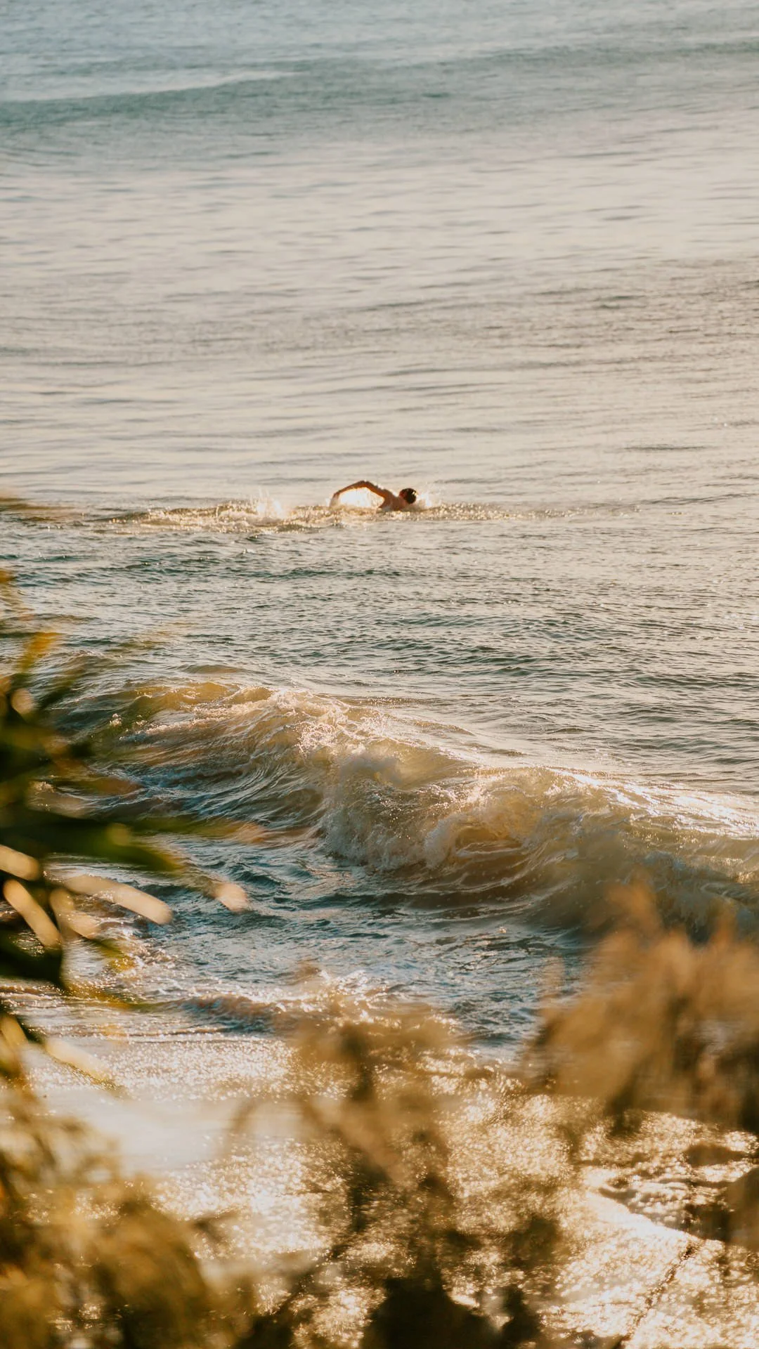 Evening Swim - Mobile Wallpaper