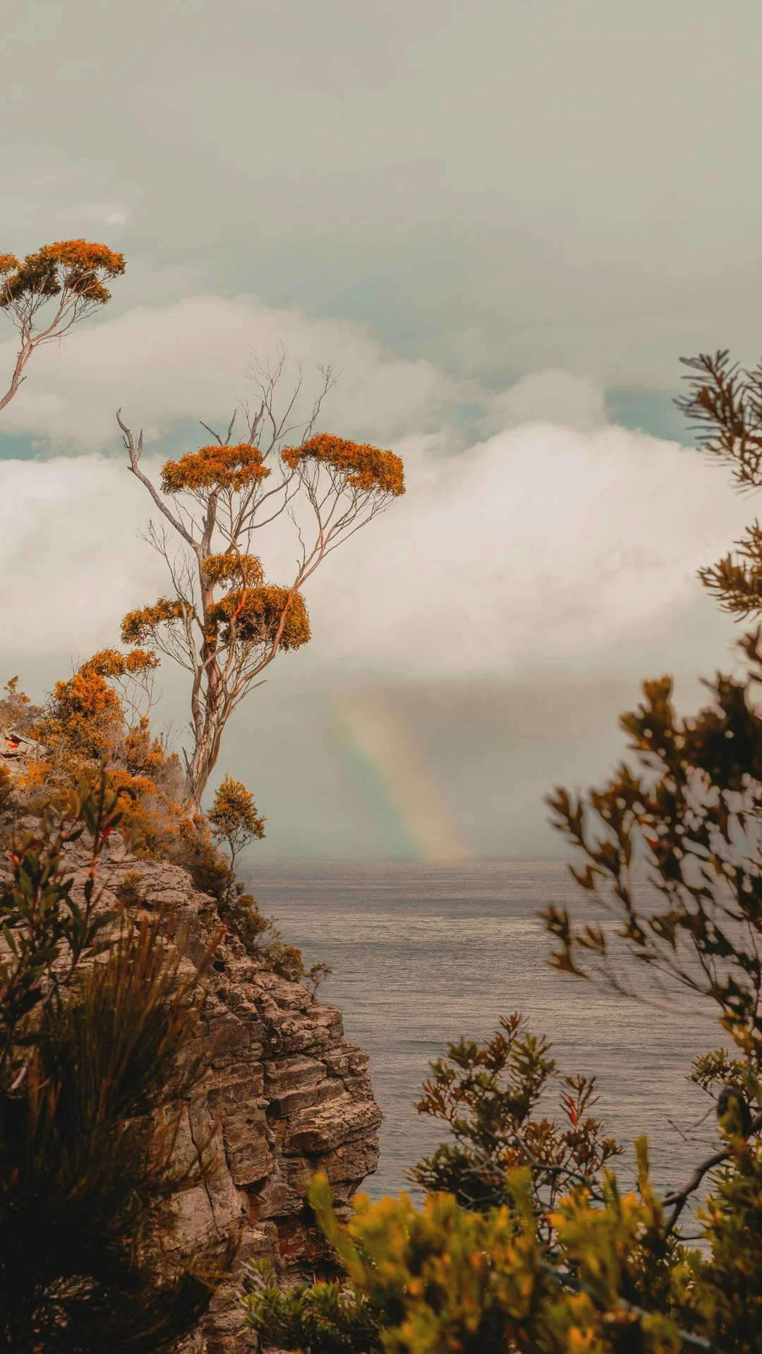 Horizon - Mobile Wallpaper