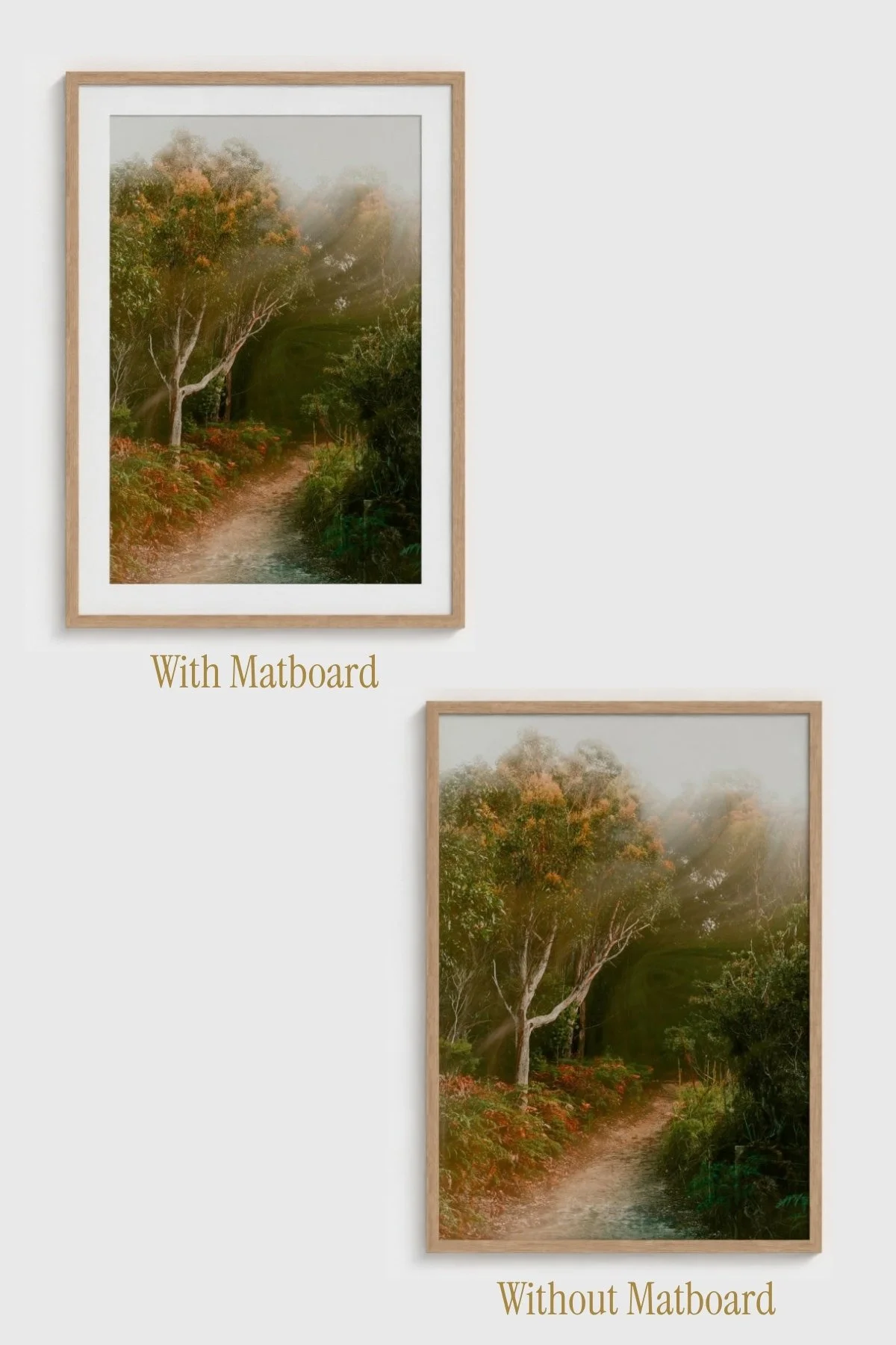 Quiet-Path-Angela-Ferro-Studio-Fine-Art-Nature-Photography-Prints-Wild-Sanctuary-Australian-bush-mockup-7.jpg