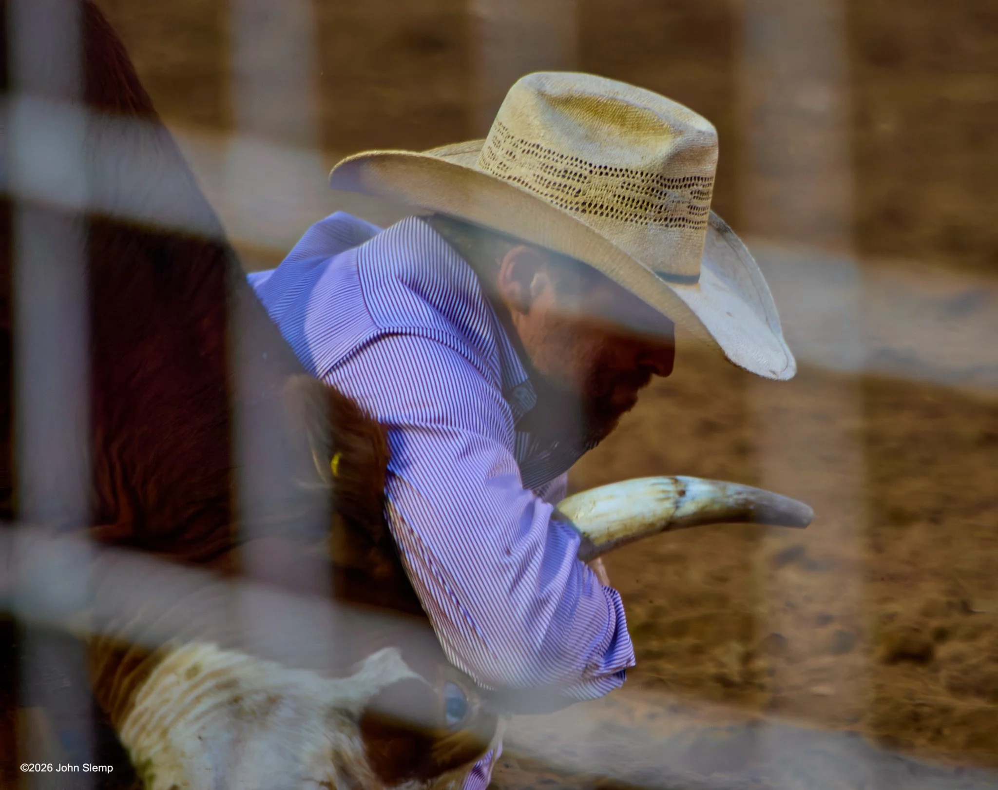Slemp_260606_MG_2782.jpg
