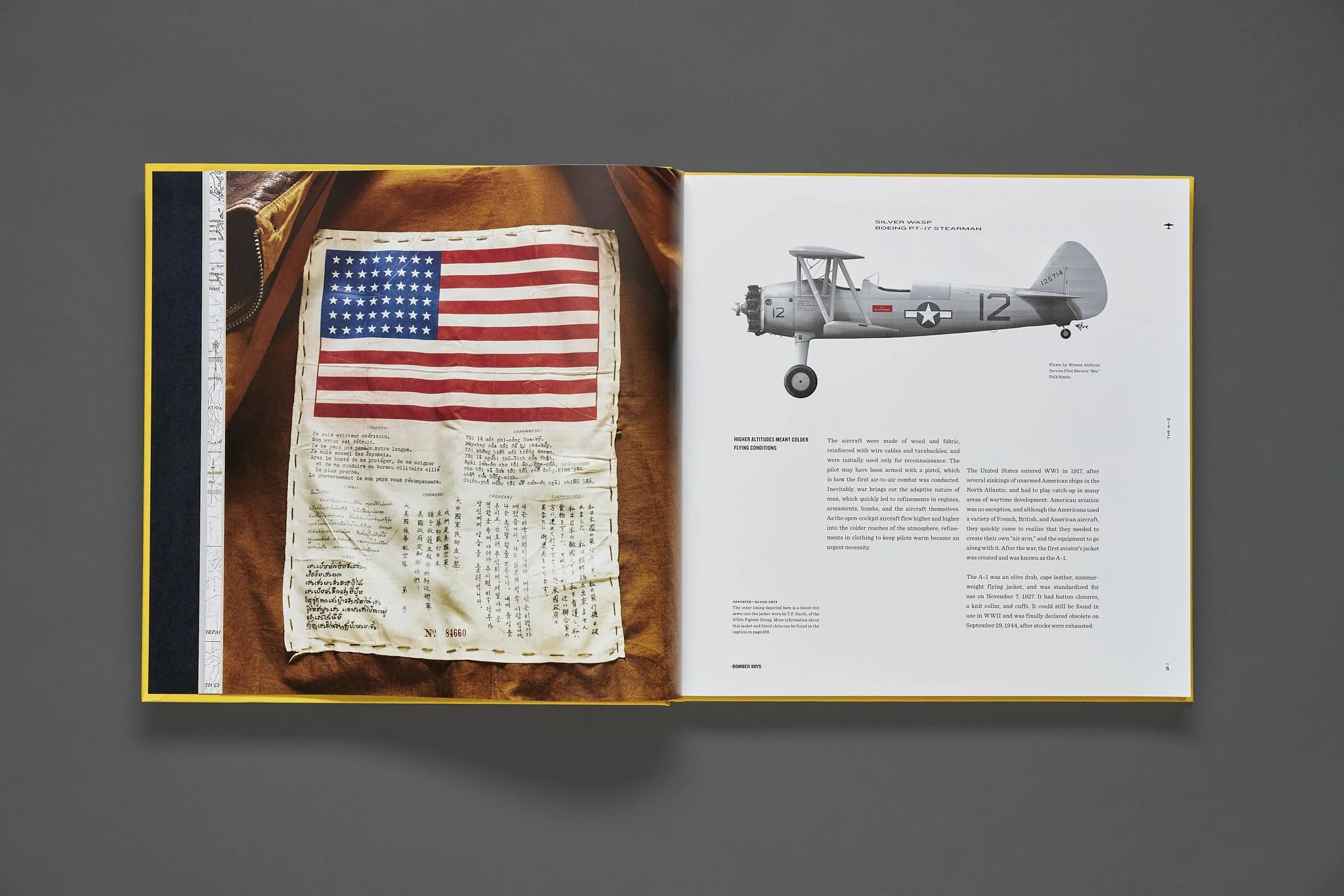 Open book showing a photograph of an American flag on the left page and an illustration of a Boeing Stearman aircraft on the right page.  Aircraft illustration by John Mollison.