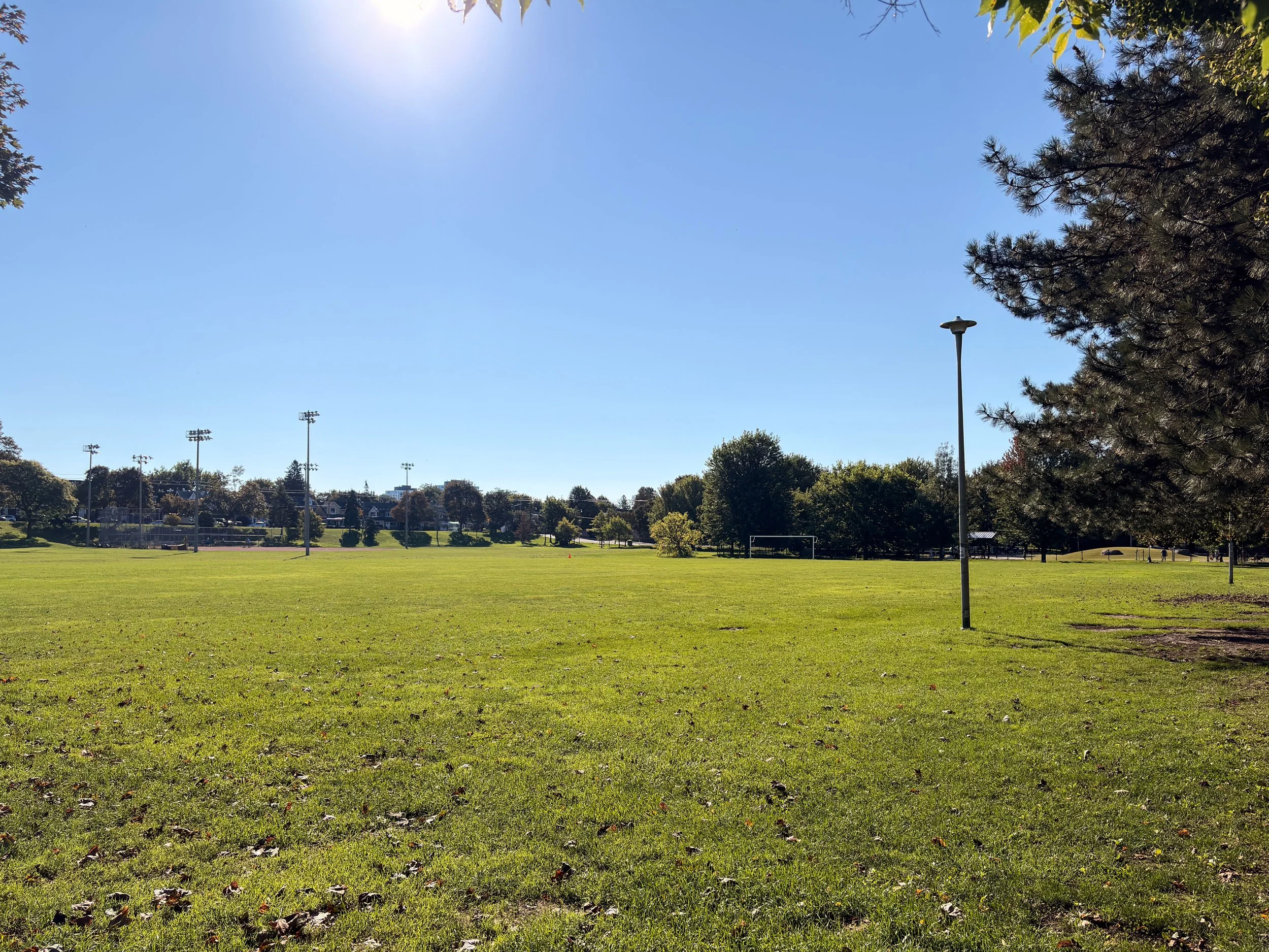 188 Hastings -53.jpg