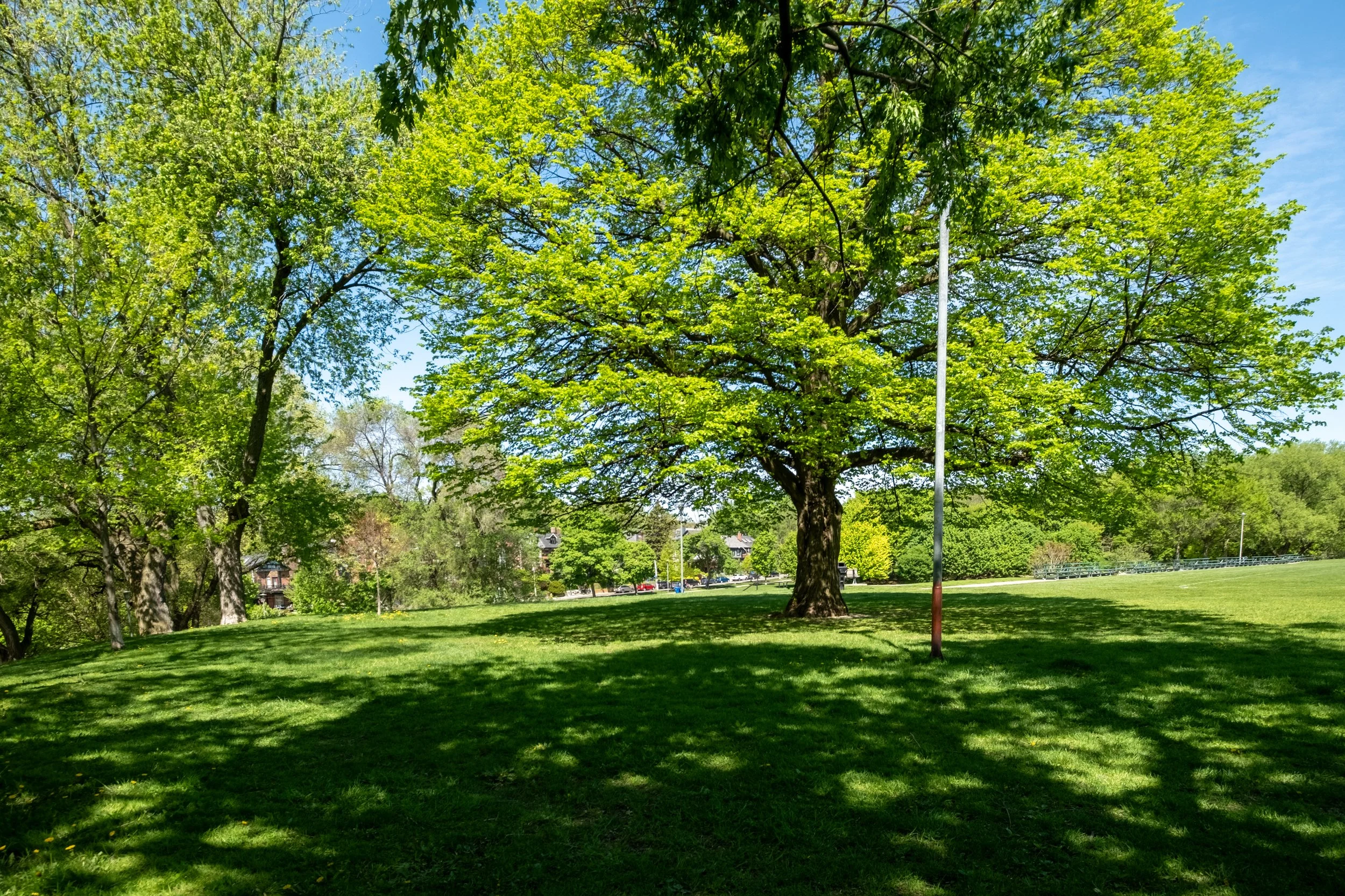 204 Bain Ave (63 of 70).jpg