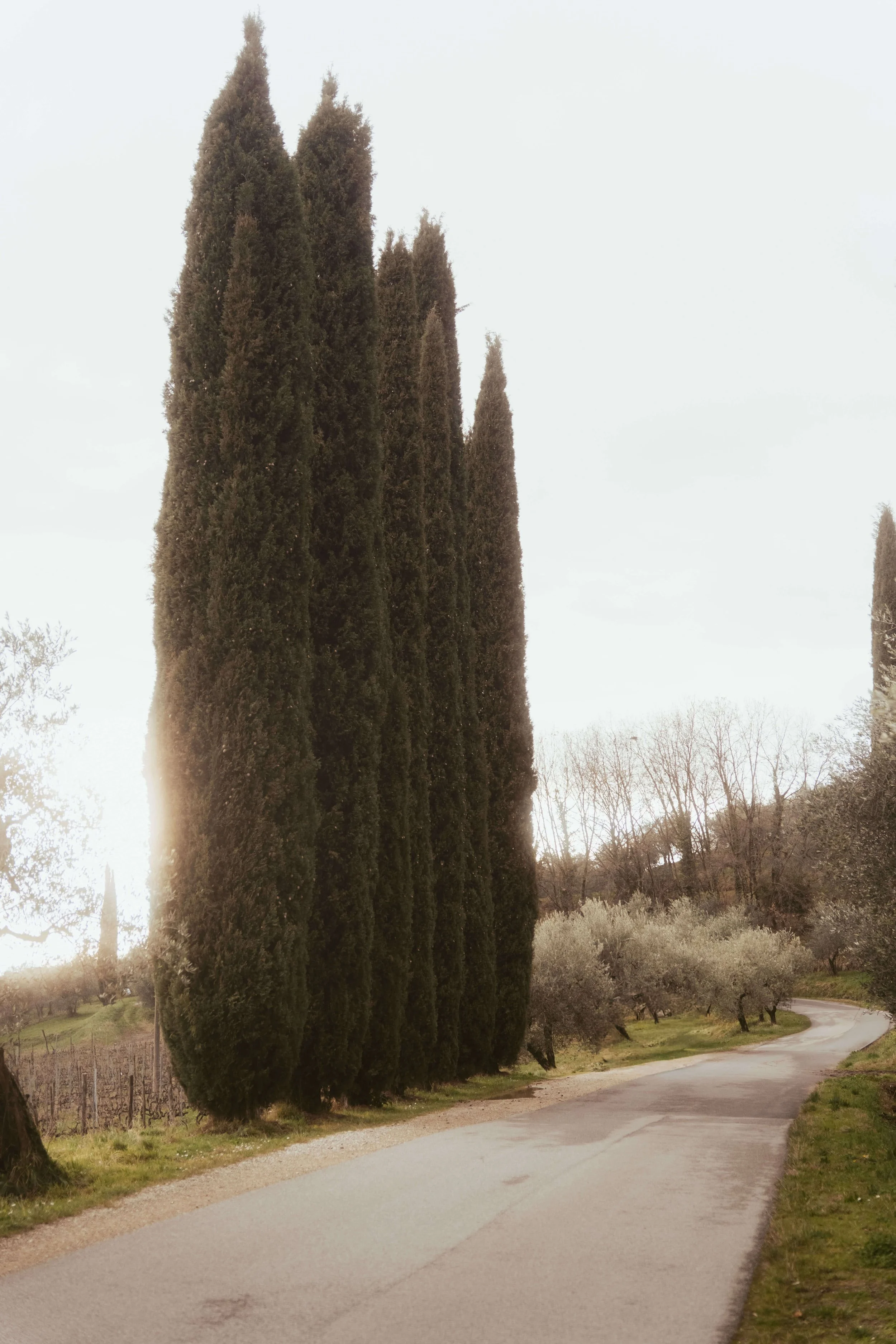 N + A Tuscany (By- Mikayla Smazalova)-107.jpg