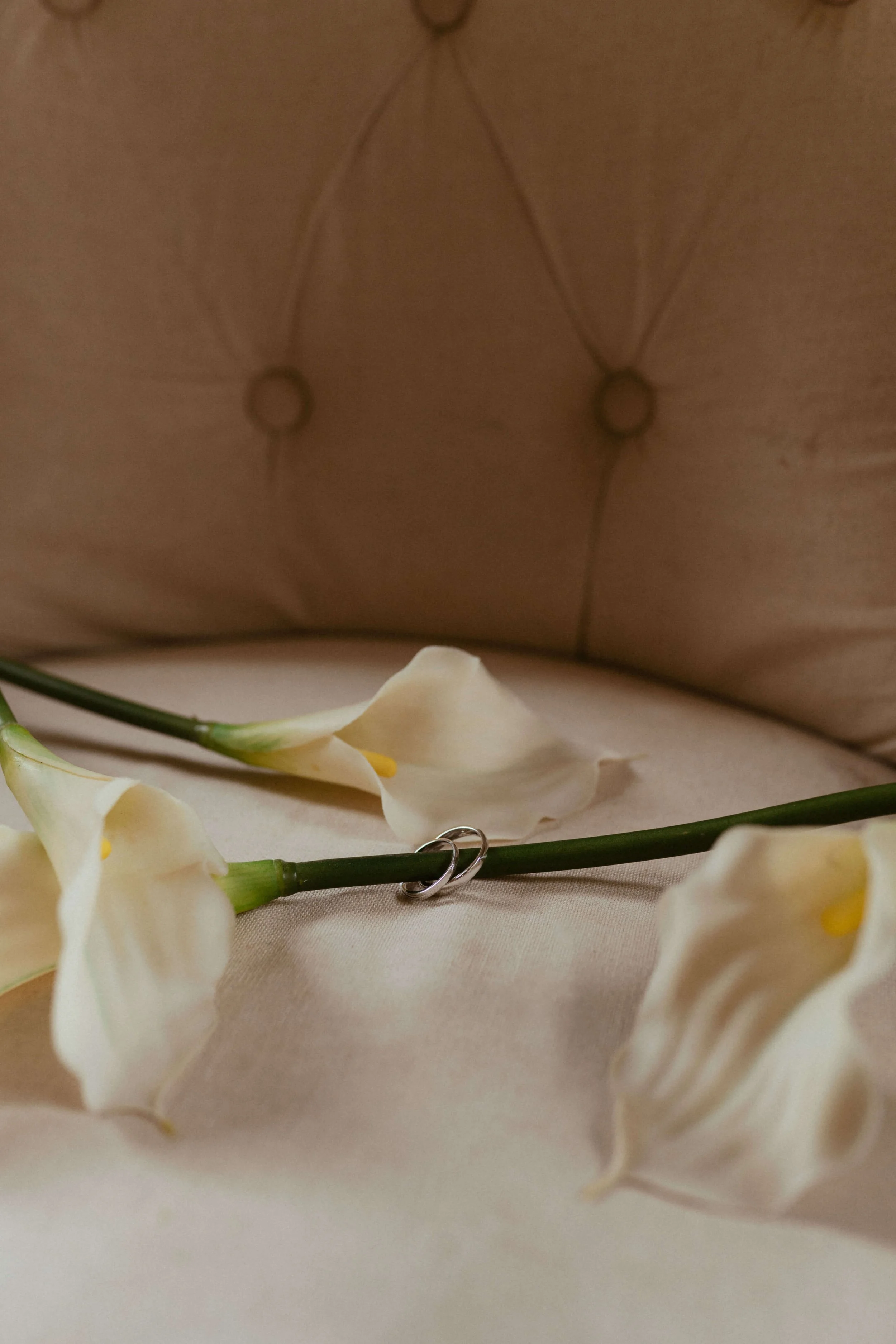 N + A Tuscany (By- Mikayla Smazalova)-158.jpg