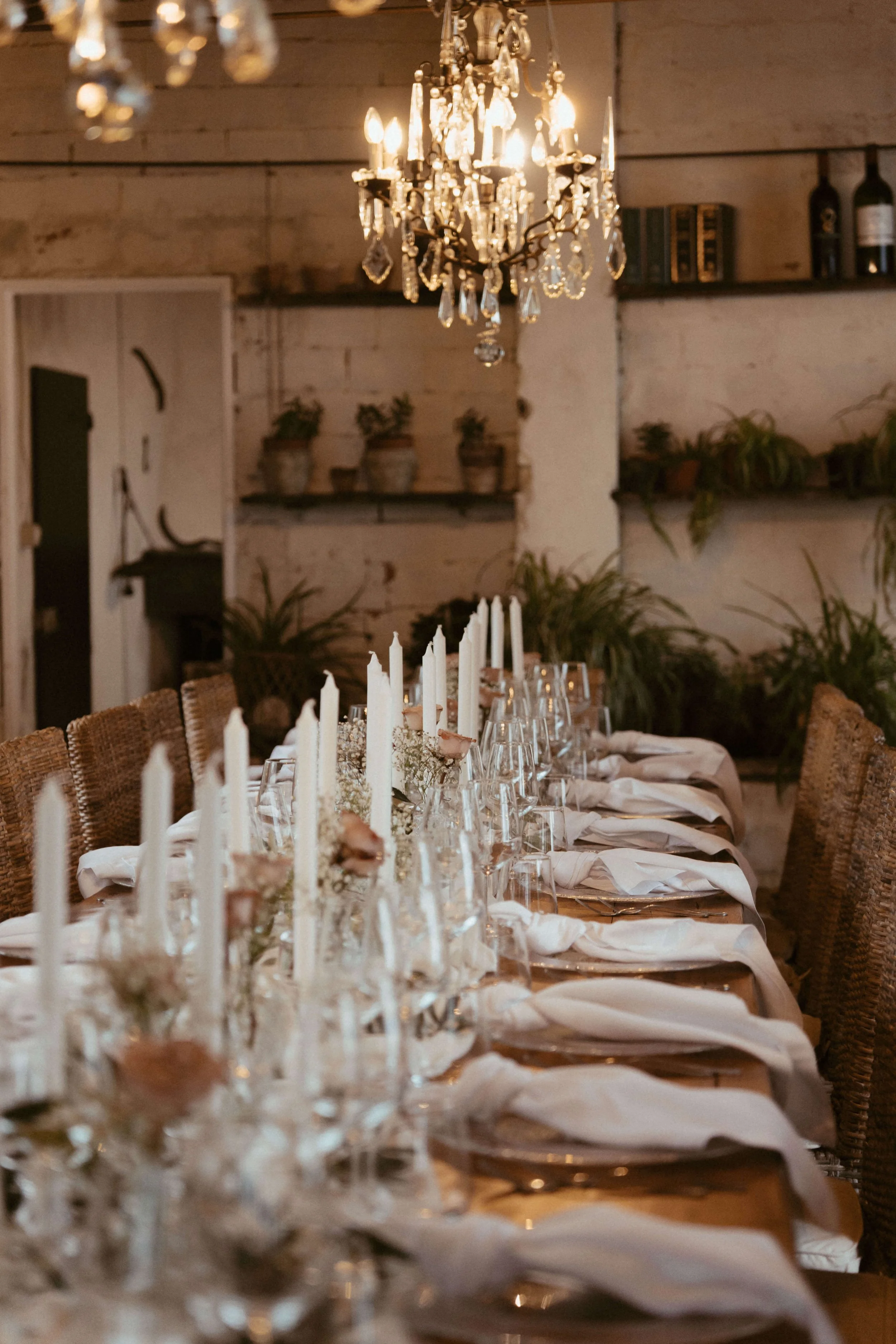 N + A Tuscany (By- Mikayla Smazalova)-179.jpg