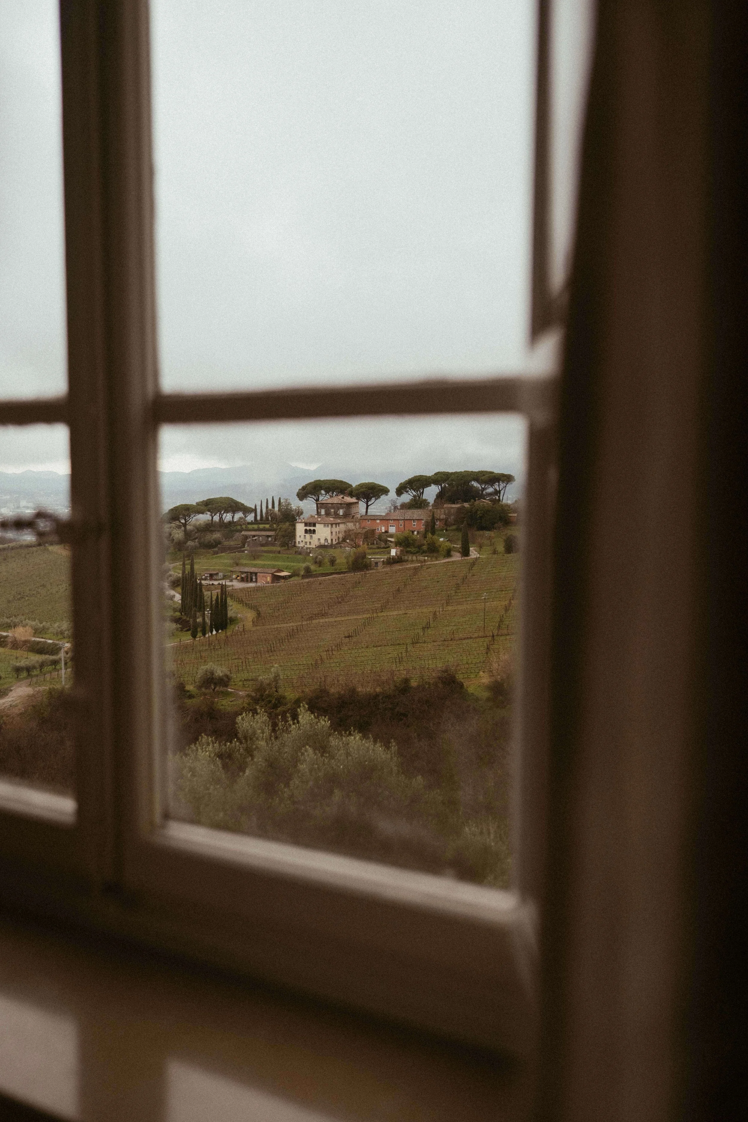 N + A Tuscany (By- Mikayla Smazalova)-255.jpg
