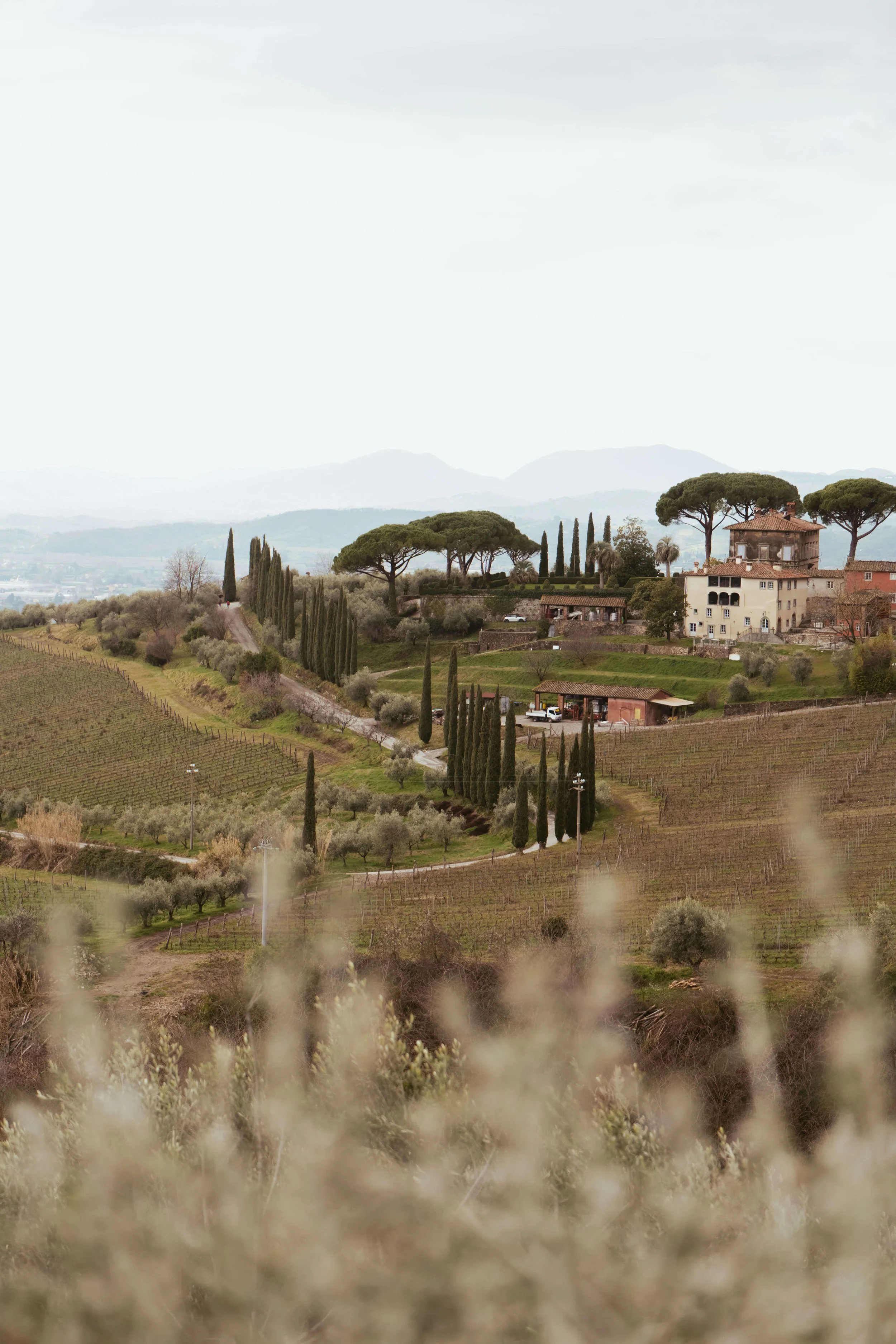 N + A Tuscany (By- Mikayla Smazalova)-105.jpg