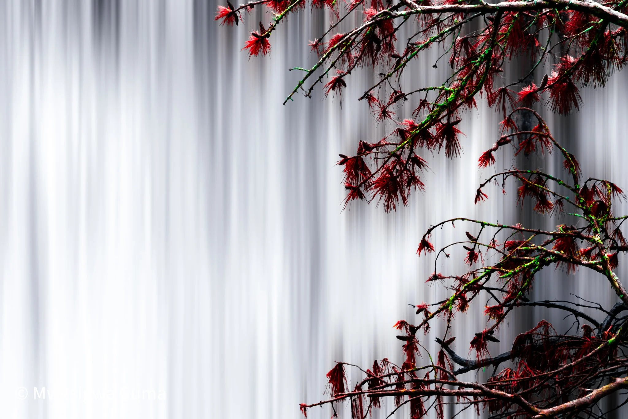 DSC01143-Edit.jpg