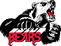 A fierce bear illustration with its mouth open showing teeth, claws extended, and the word Bears in red beneath it.