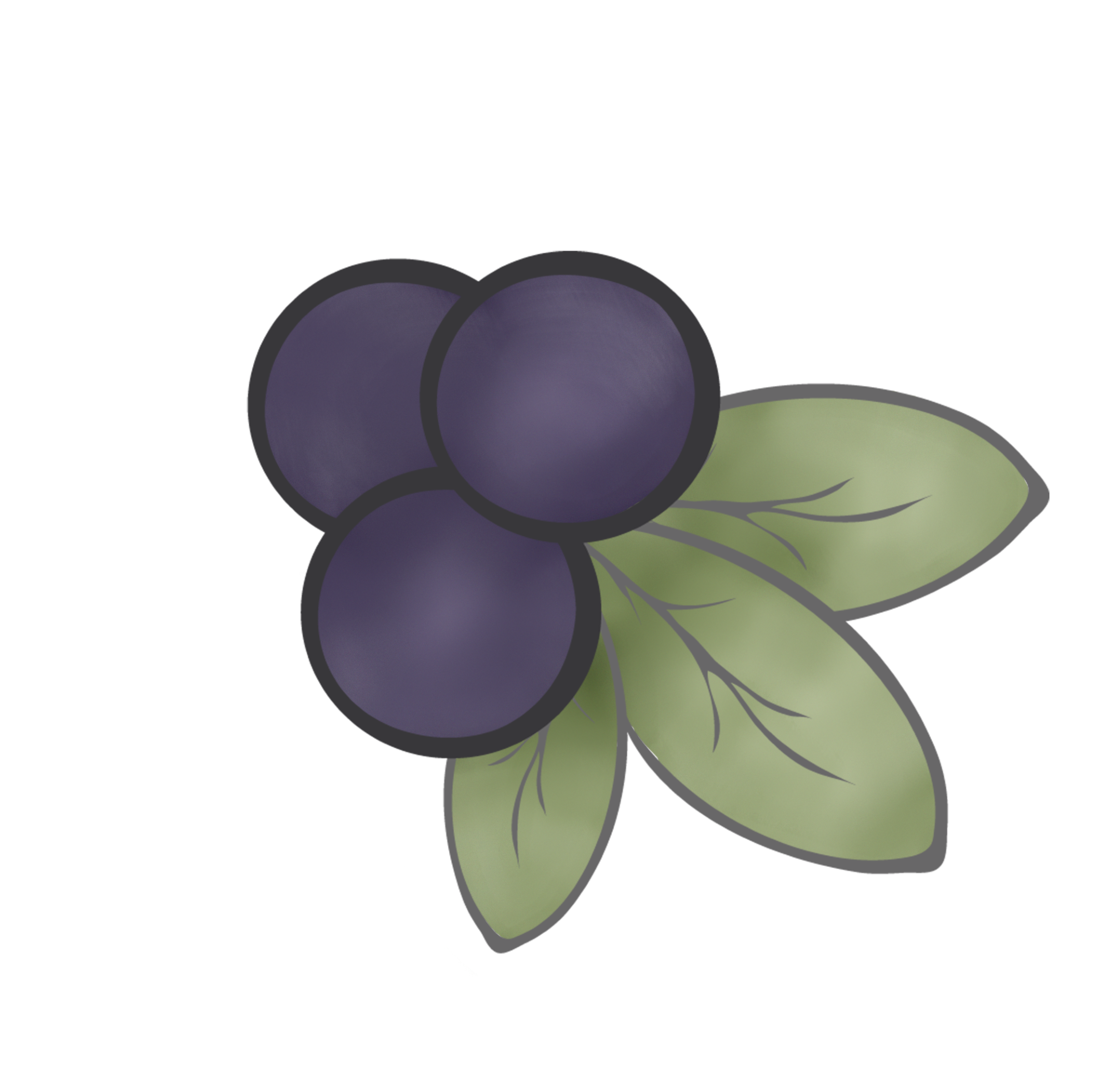 Decor Rentals and Design Services in Spokane