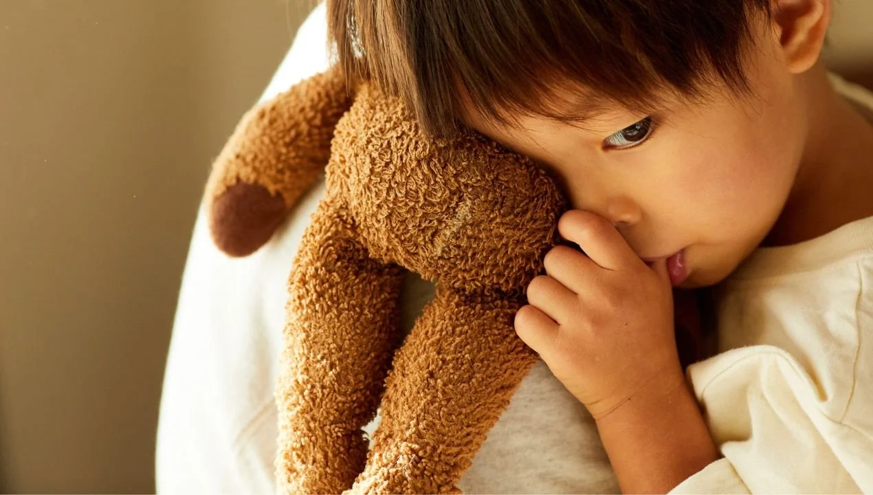 family law attorney Livingston county