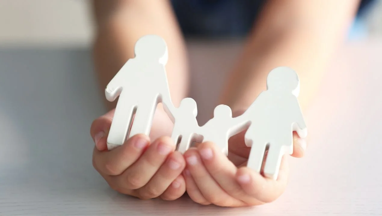 family attorney for child custody Livingston county