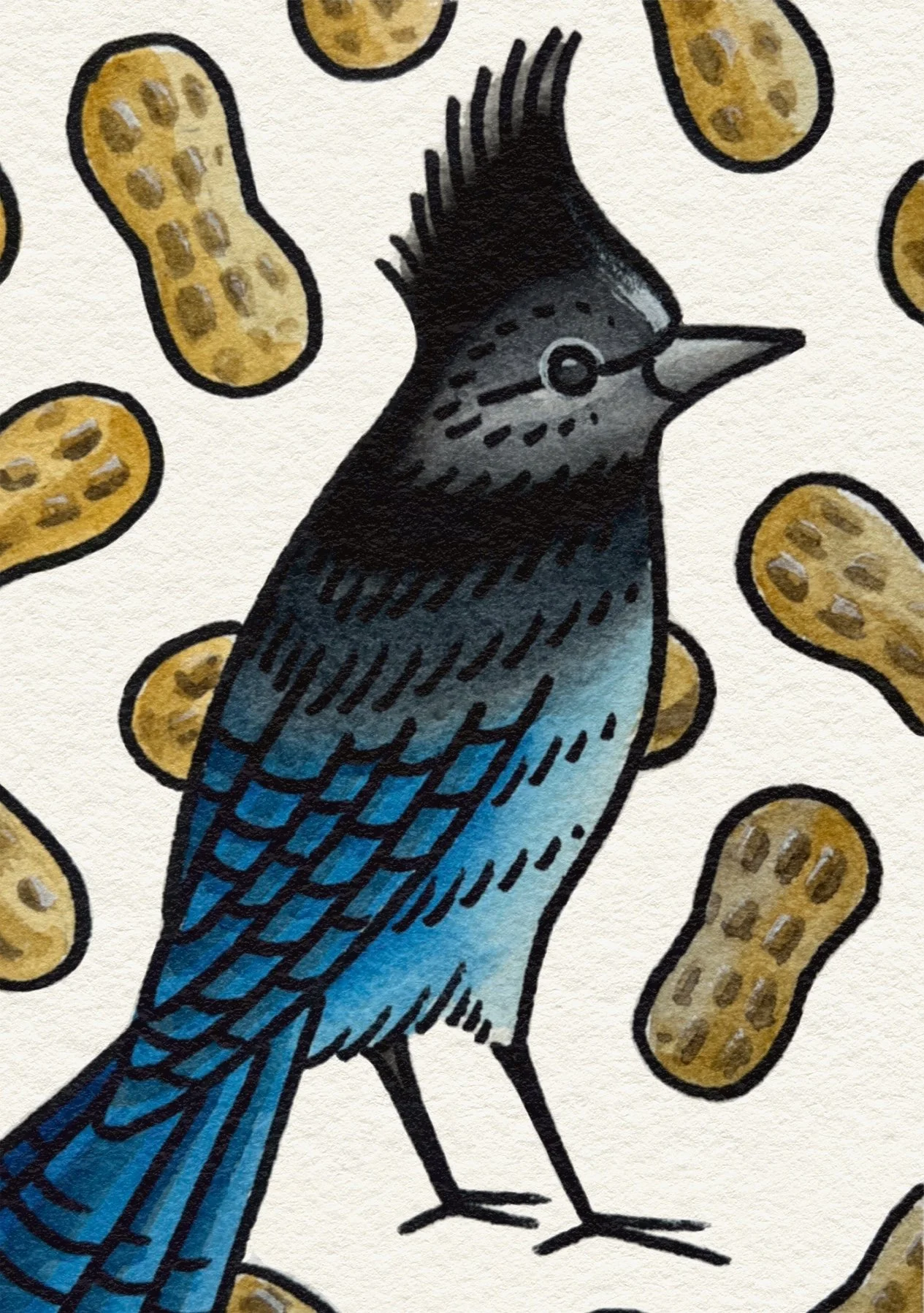 Aquarelle-Ivory-by-TGTS 6.jpg