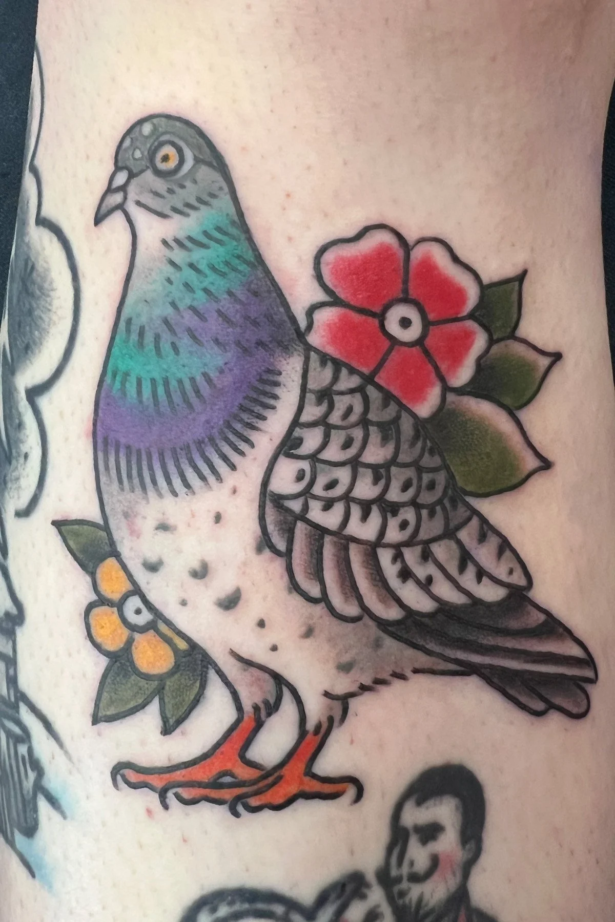 pidgeon.jpg