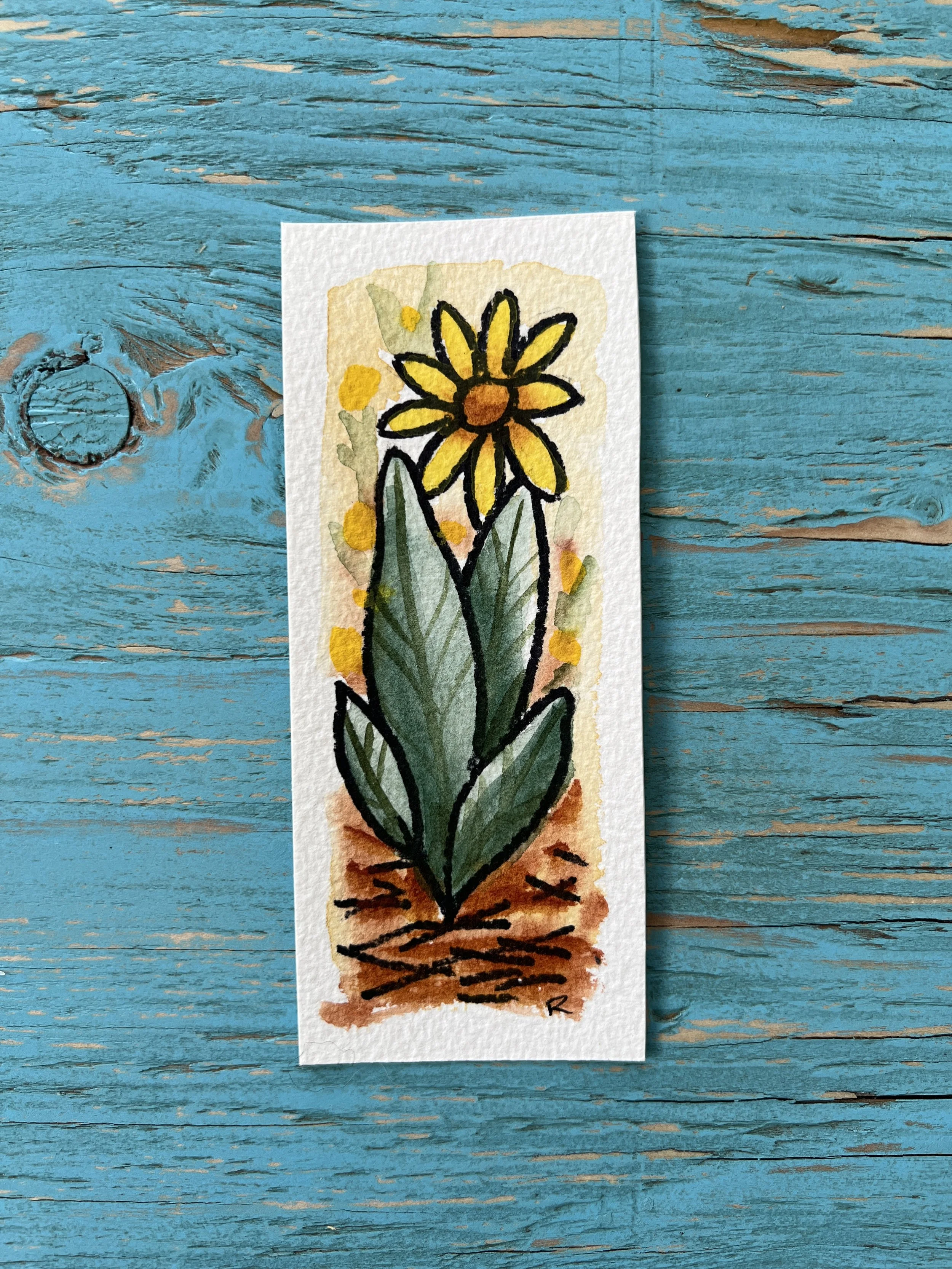 Daily Mini Painting - Mules Ear