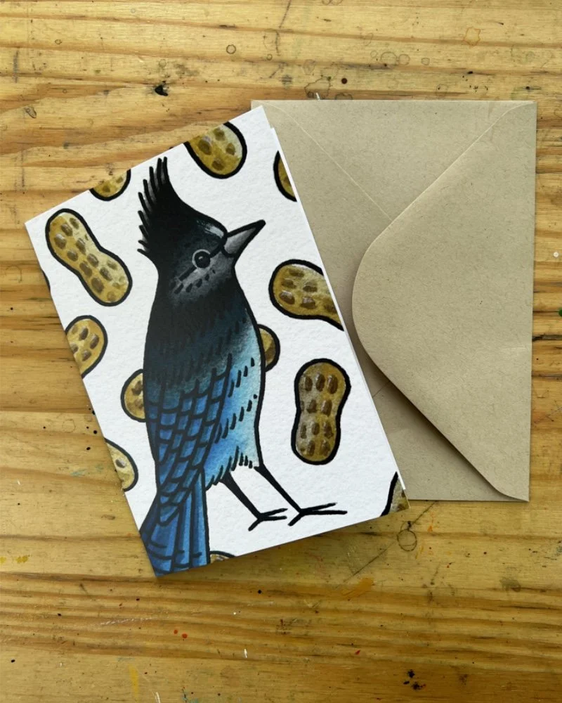 Greeting Card - Steller's Jay