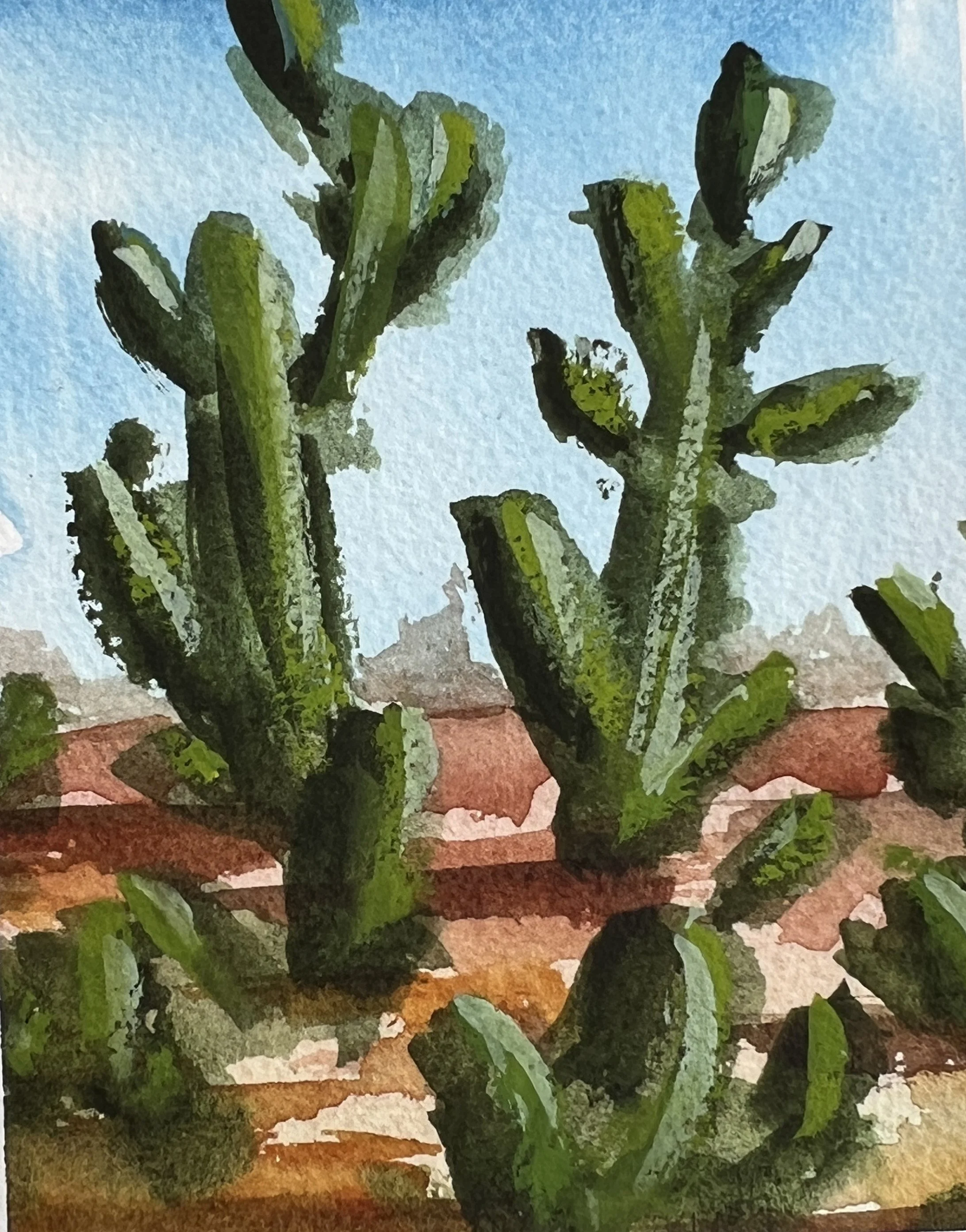 Saguaro National Park, AZ - Watercolor on Paper