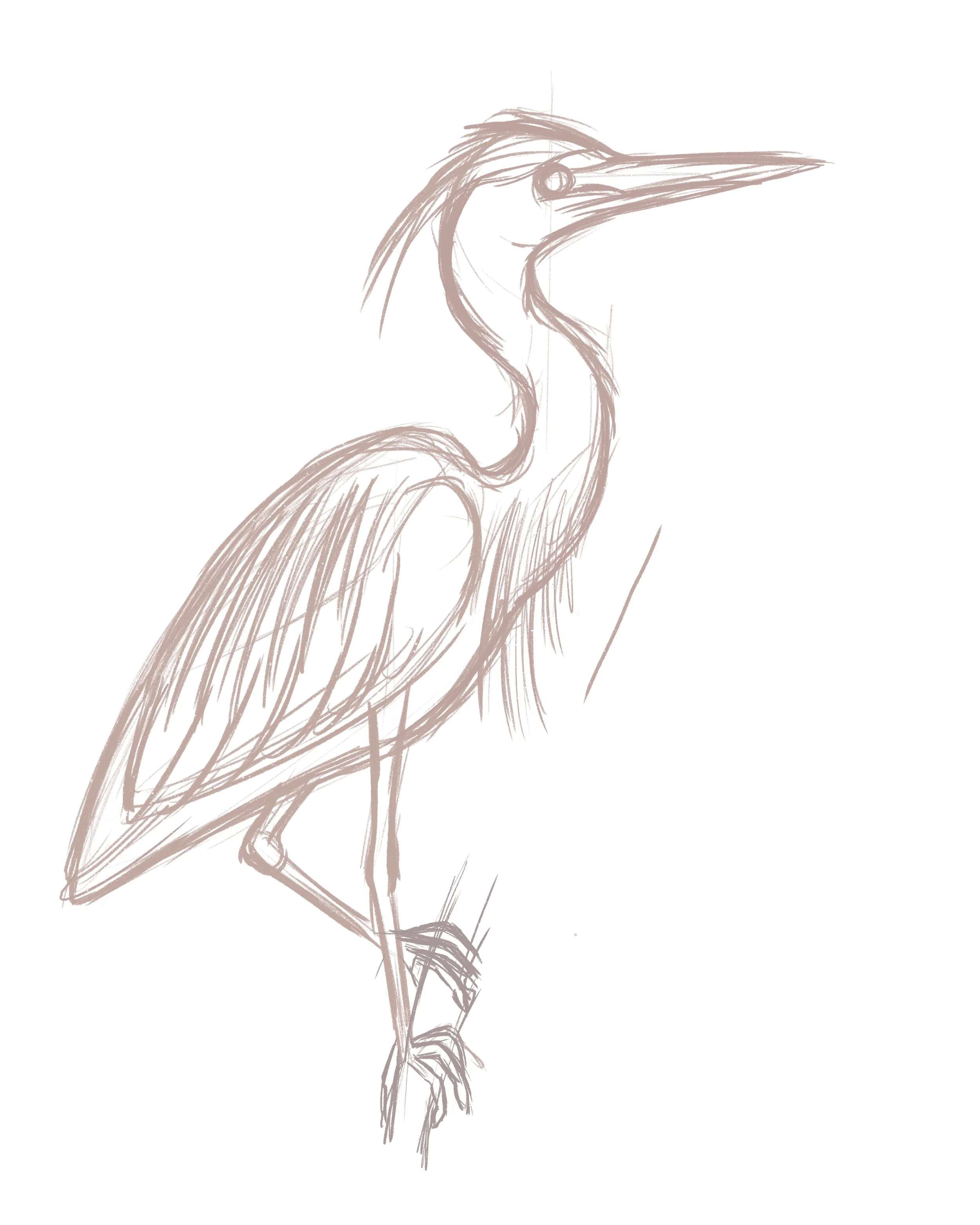 heron_sketch.jpg