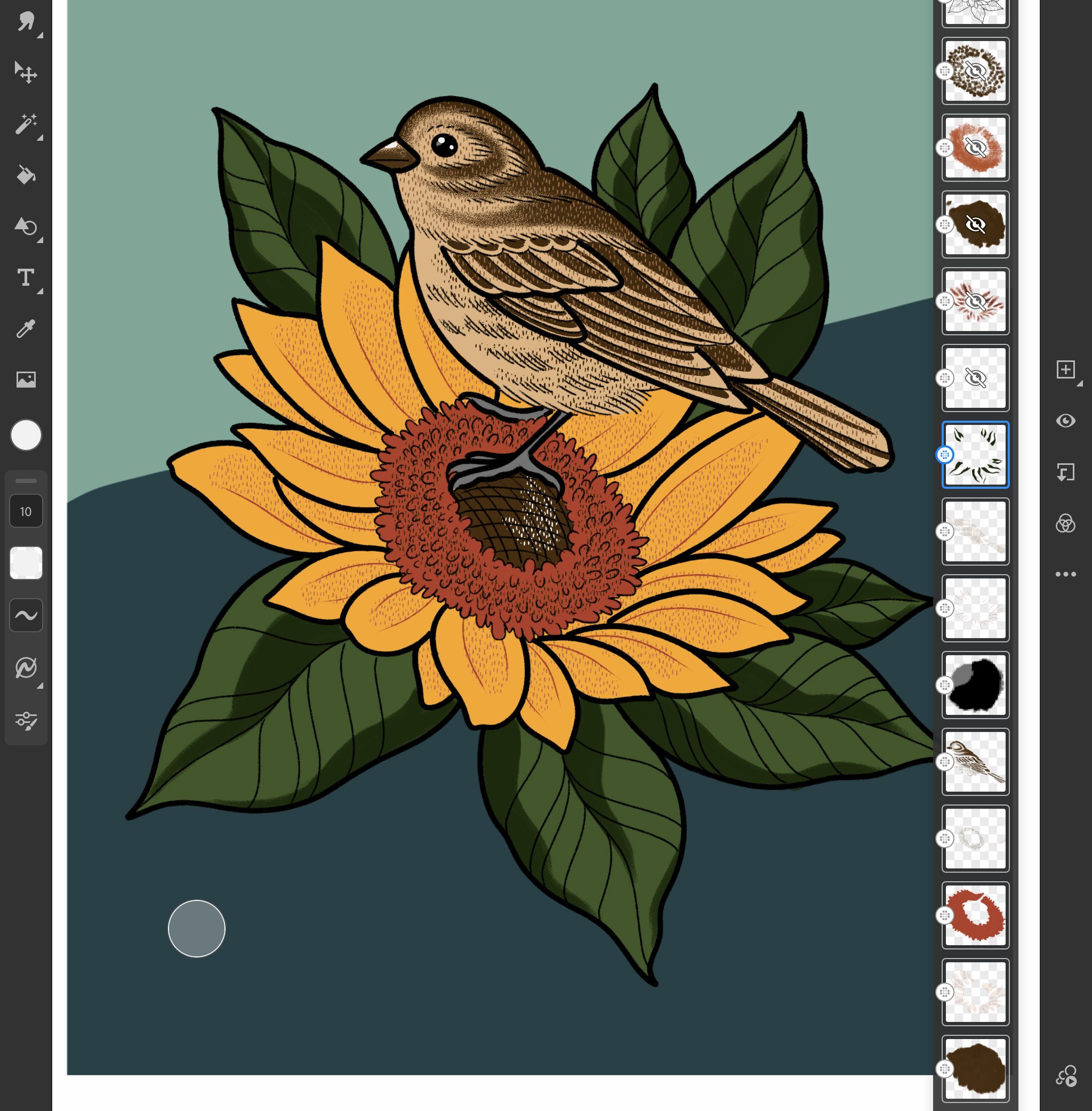 Adobe Fresco