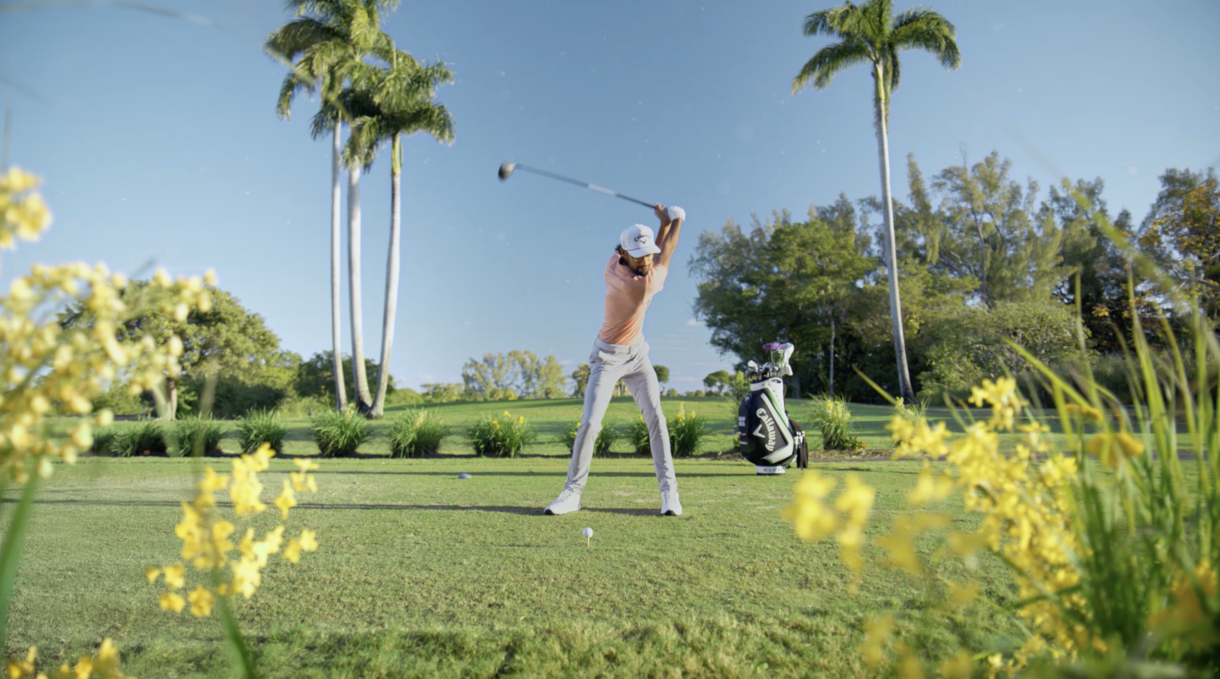 Yes Season Zyrtec / PGA Partnership