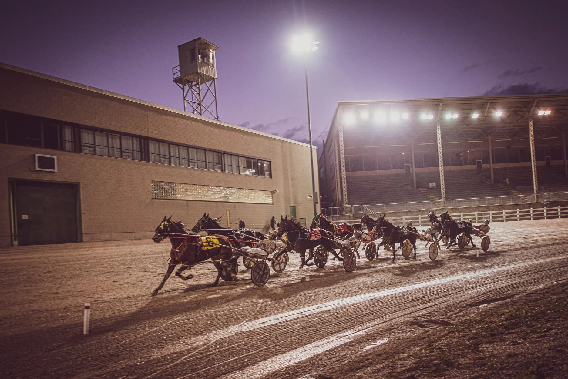 Sugar’s Selections - FRI, DEC 27 - Post Time 5:50 