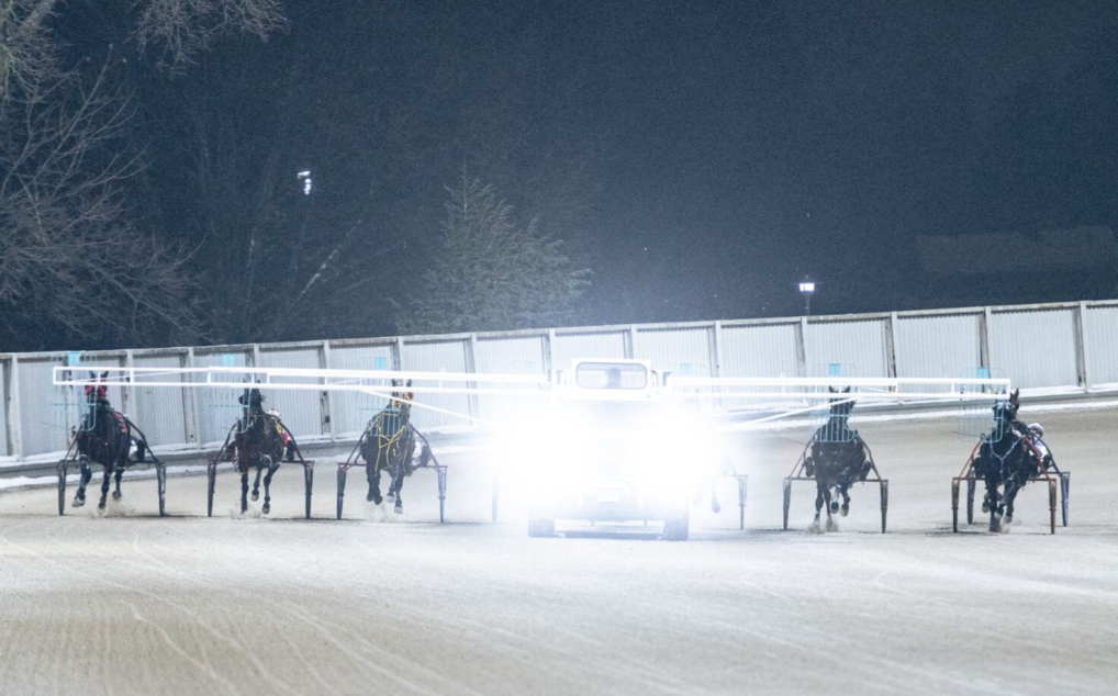 Sugar’s Selections - TUE, DEC 16 - Post Time 5:50  