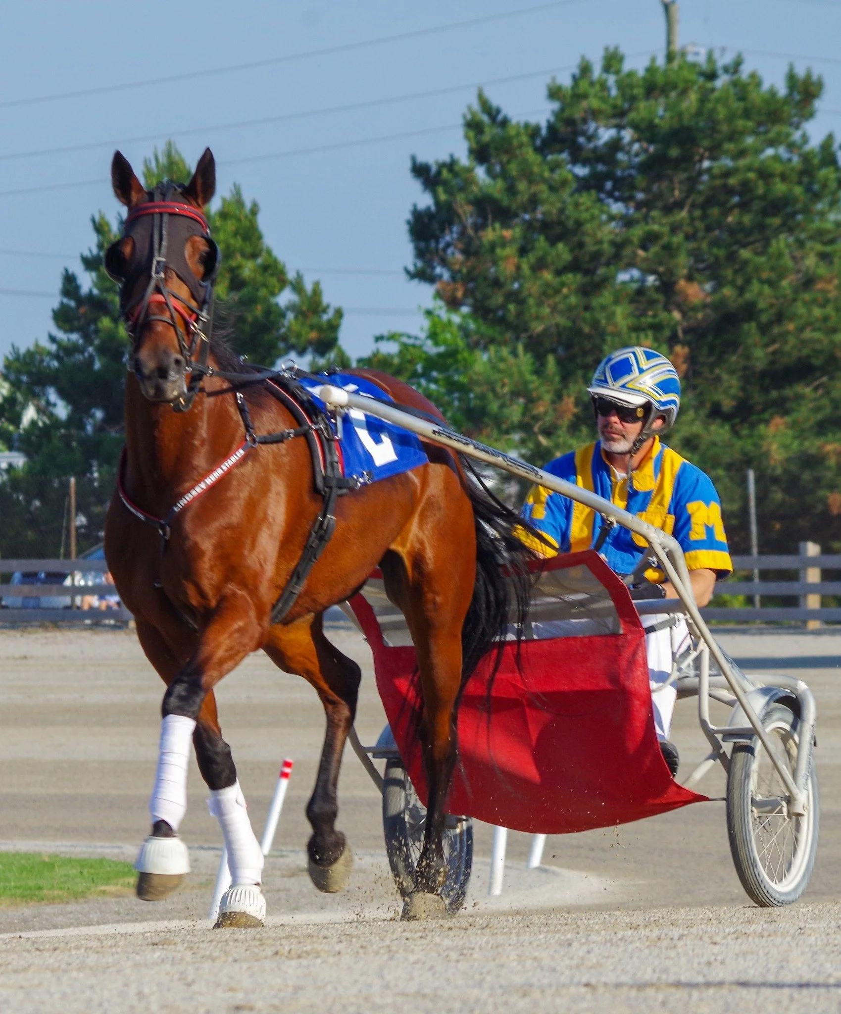 London’s Leading Trainer Nominated For O’Brien Award of Horsemanship
