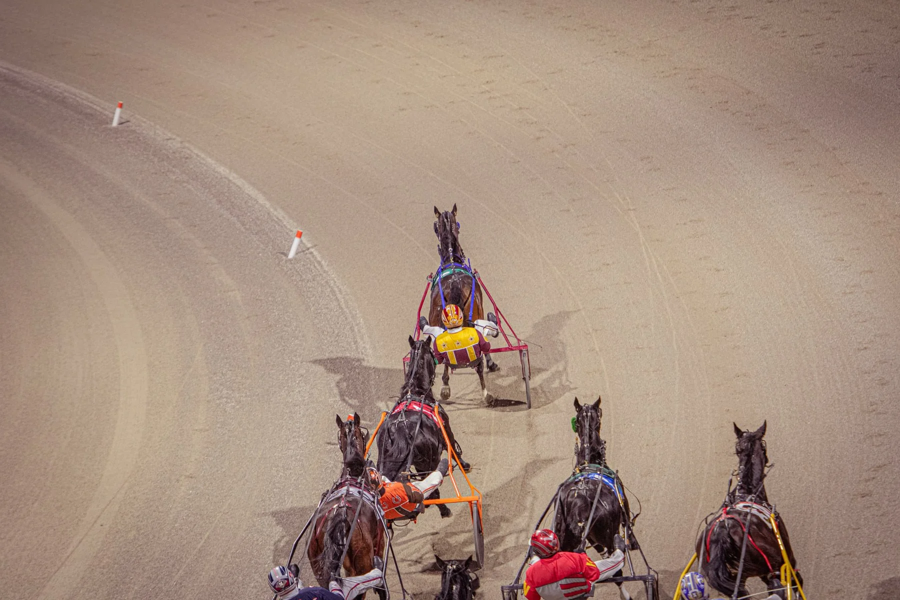 Sugar’s Selections - WED, JAN 28 - Post Time 5:50 