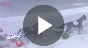 Brodys Scrapper Picture Parade and Race Replay