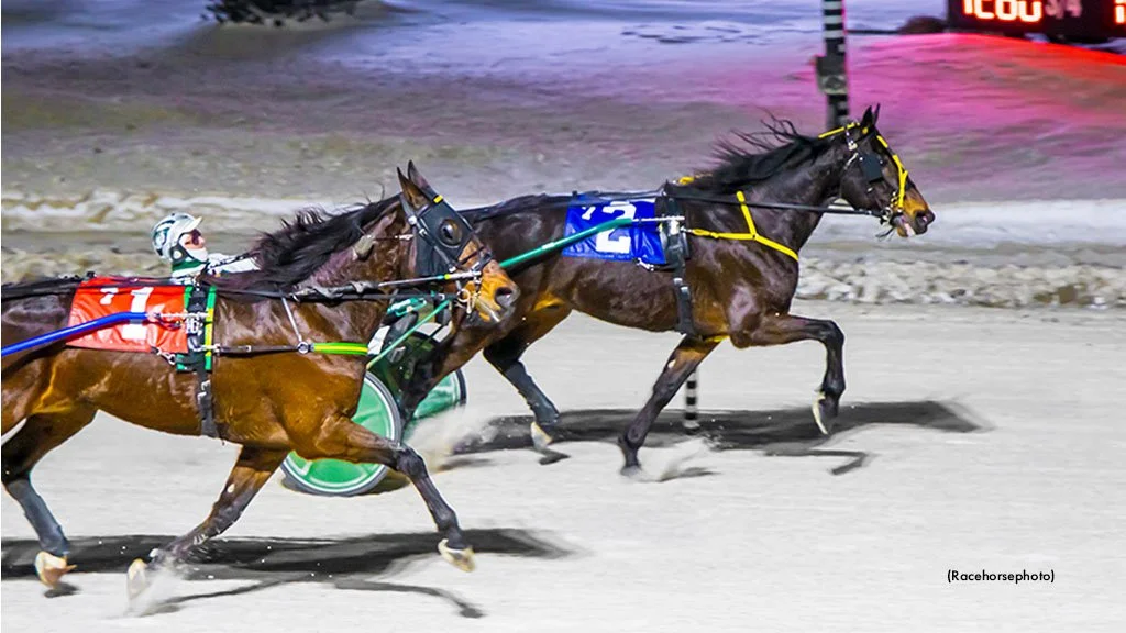 Passarino Wires Western Fair Preferred