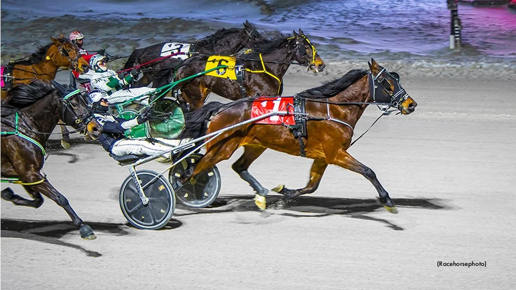 Livingitlarge Lights Up The Board In Western Fair Preferred