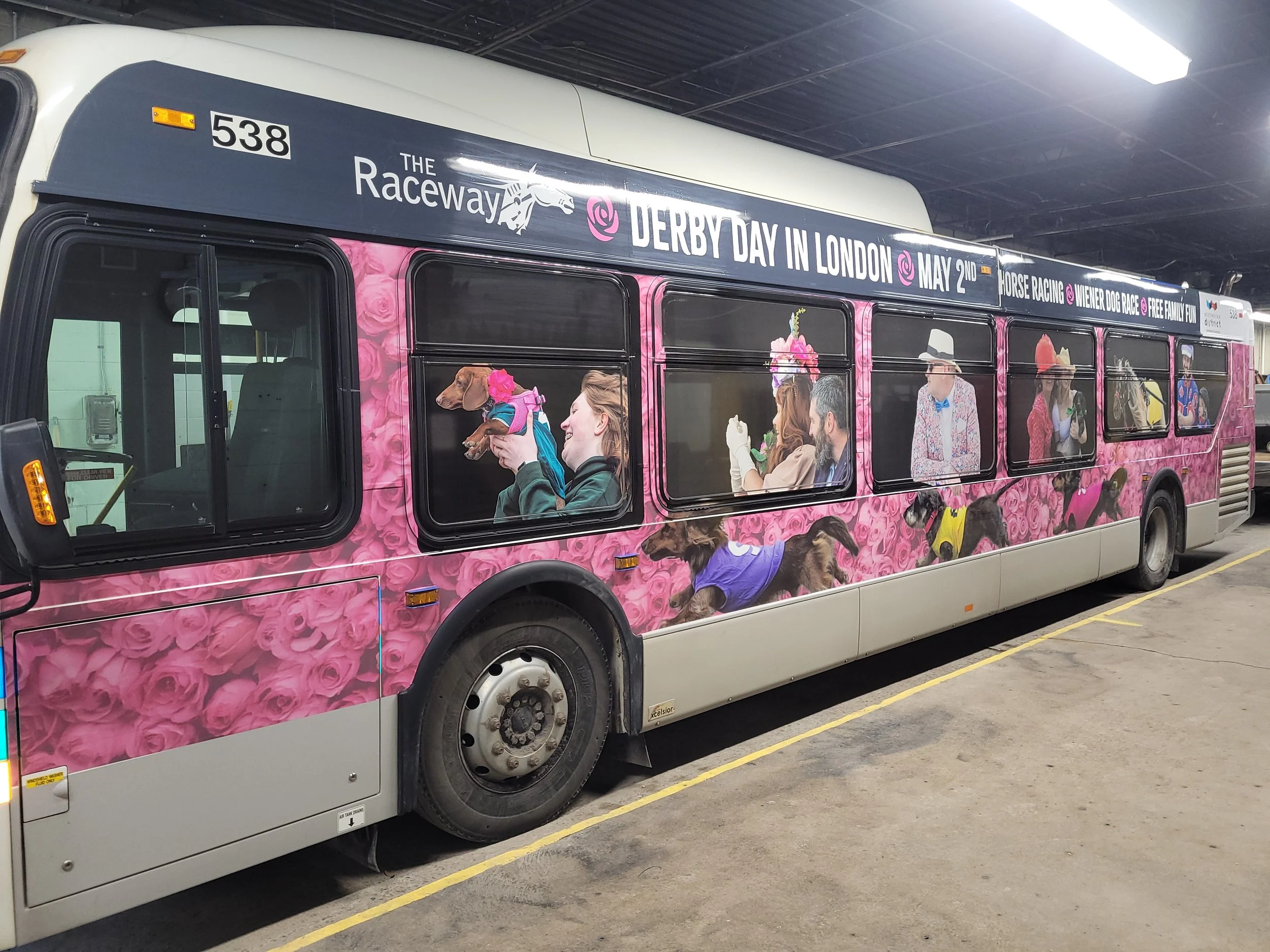 Sugar’s Selections - TUE, MAR 17 - Post Time 5:50  