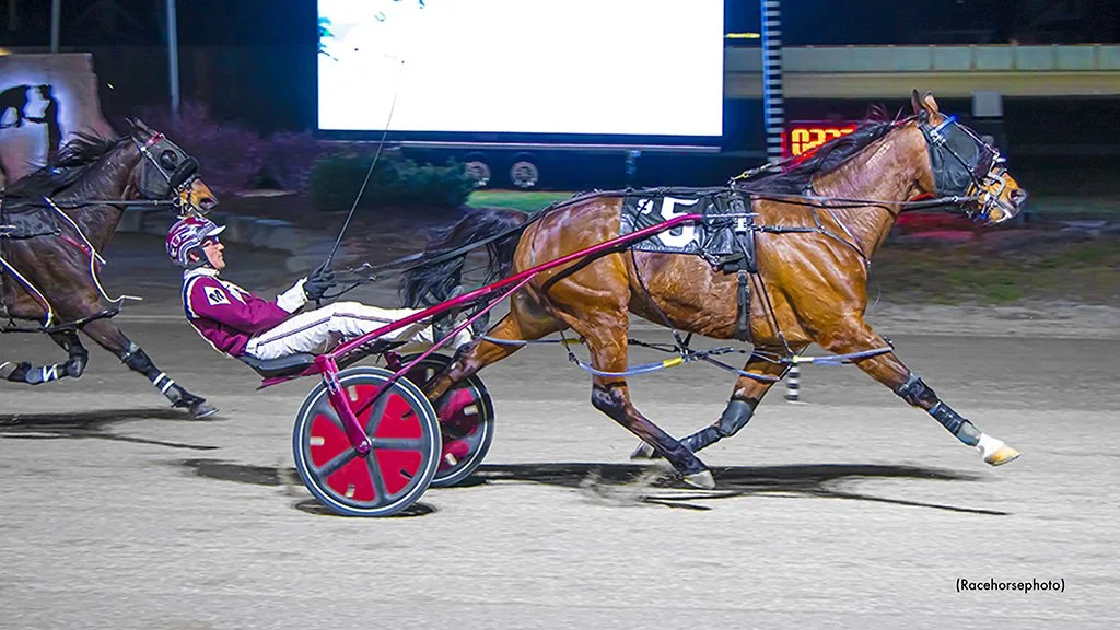 Cheddar Bay, Royalty Beer Take London Preferreds