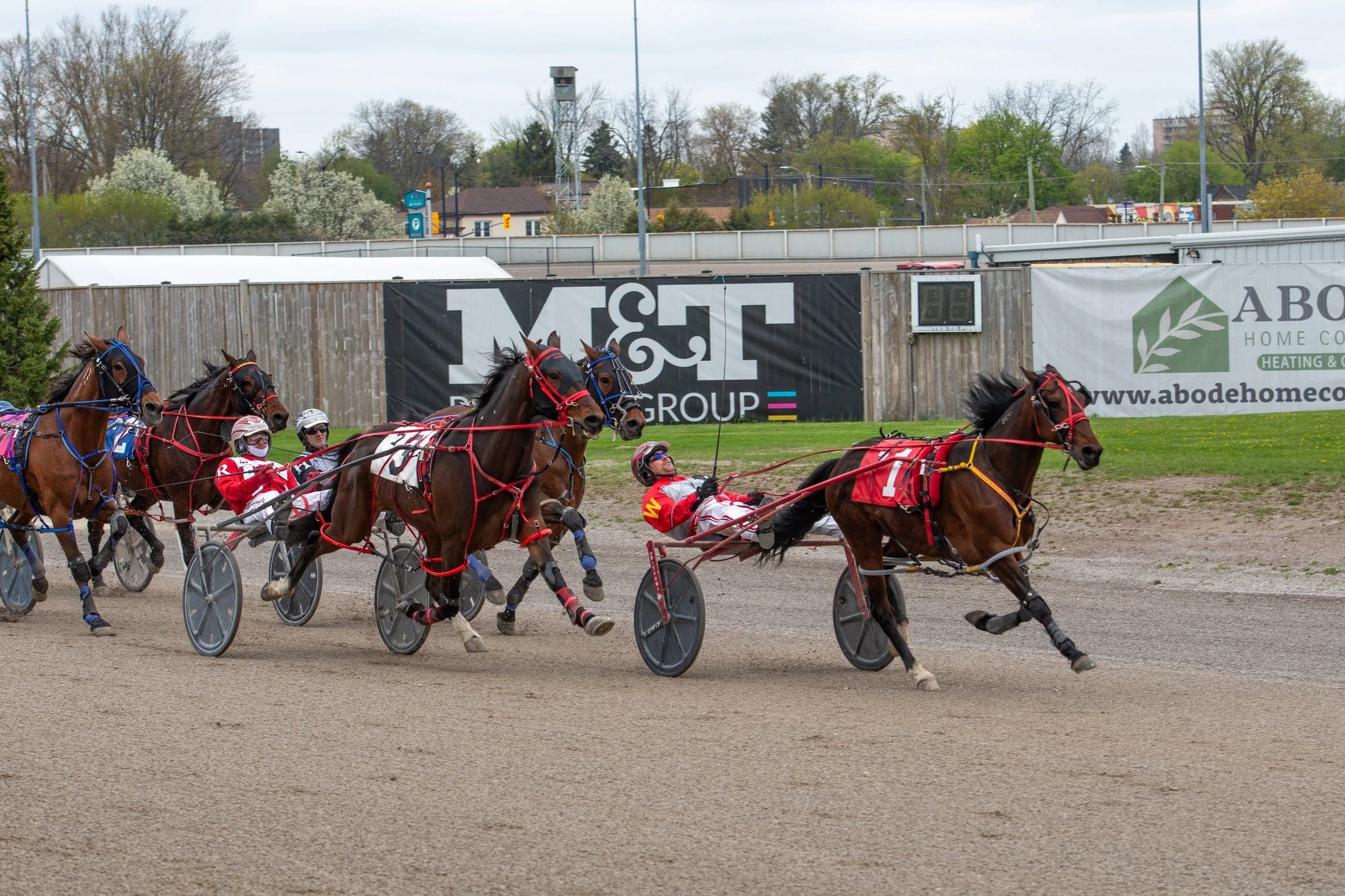 Wednesday Live Racing - Post Time 5:50 PM 